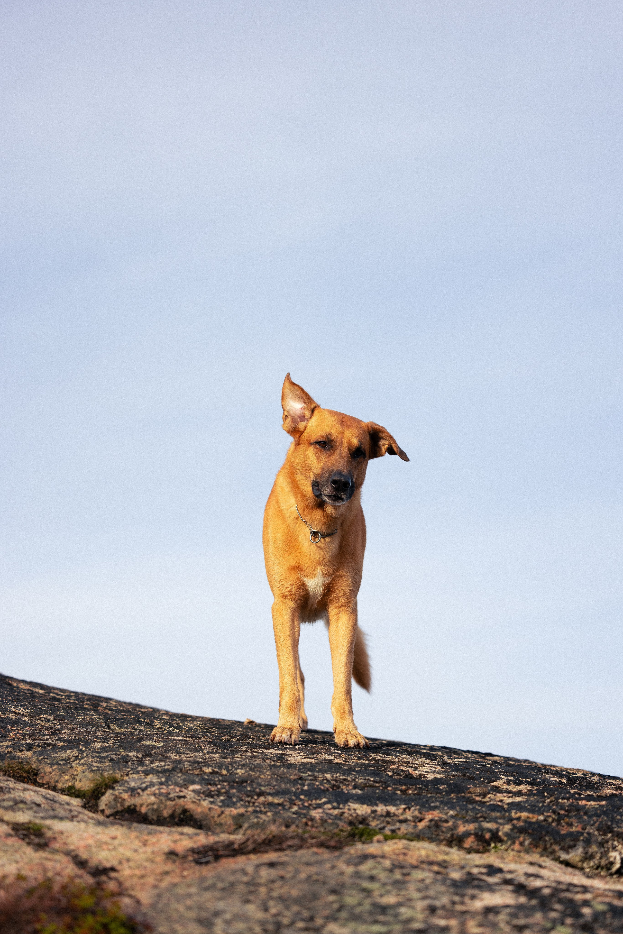Кольский. Фотограф и видеограф анималист Аганина Дарья