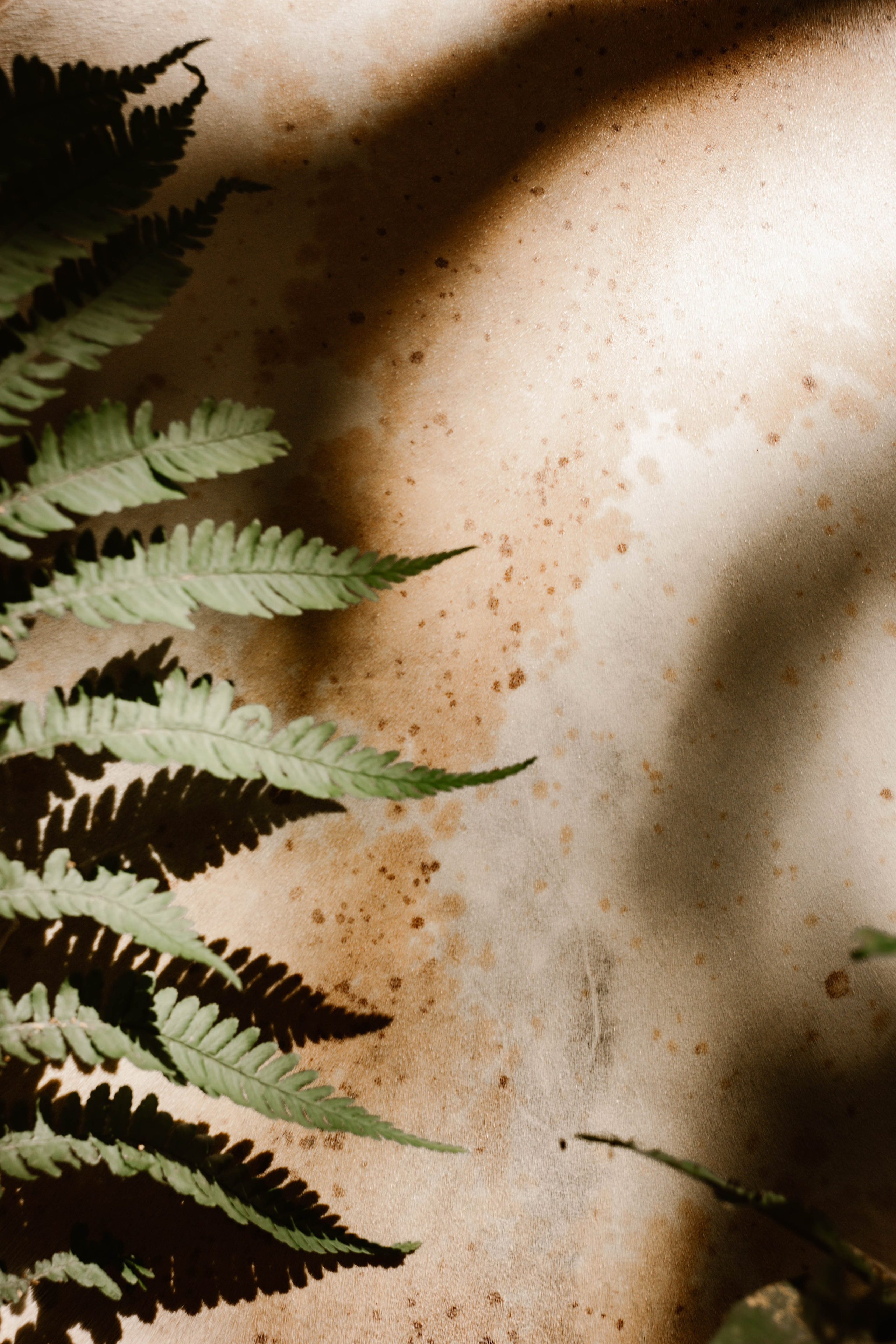 Эльвира. Фотограф в Нижнем Новгороде