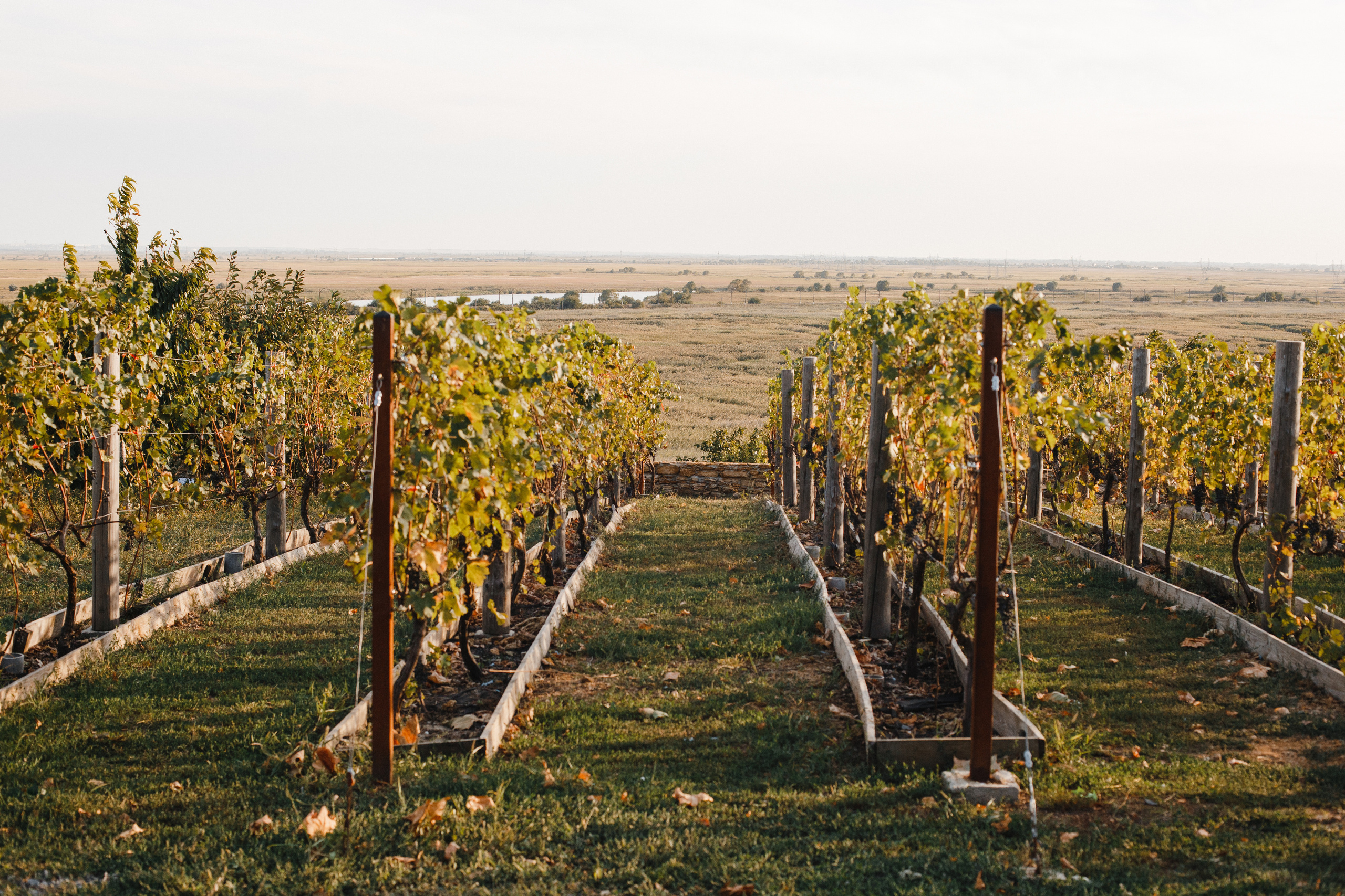 Отзывы. Свадебный и семейный фотограф в Ростове-на-Дону Кирилл Дементьев