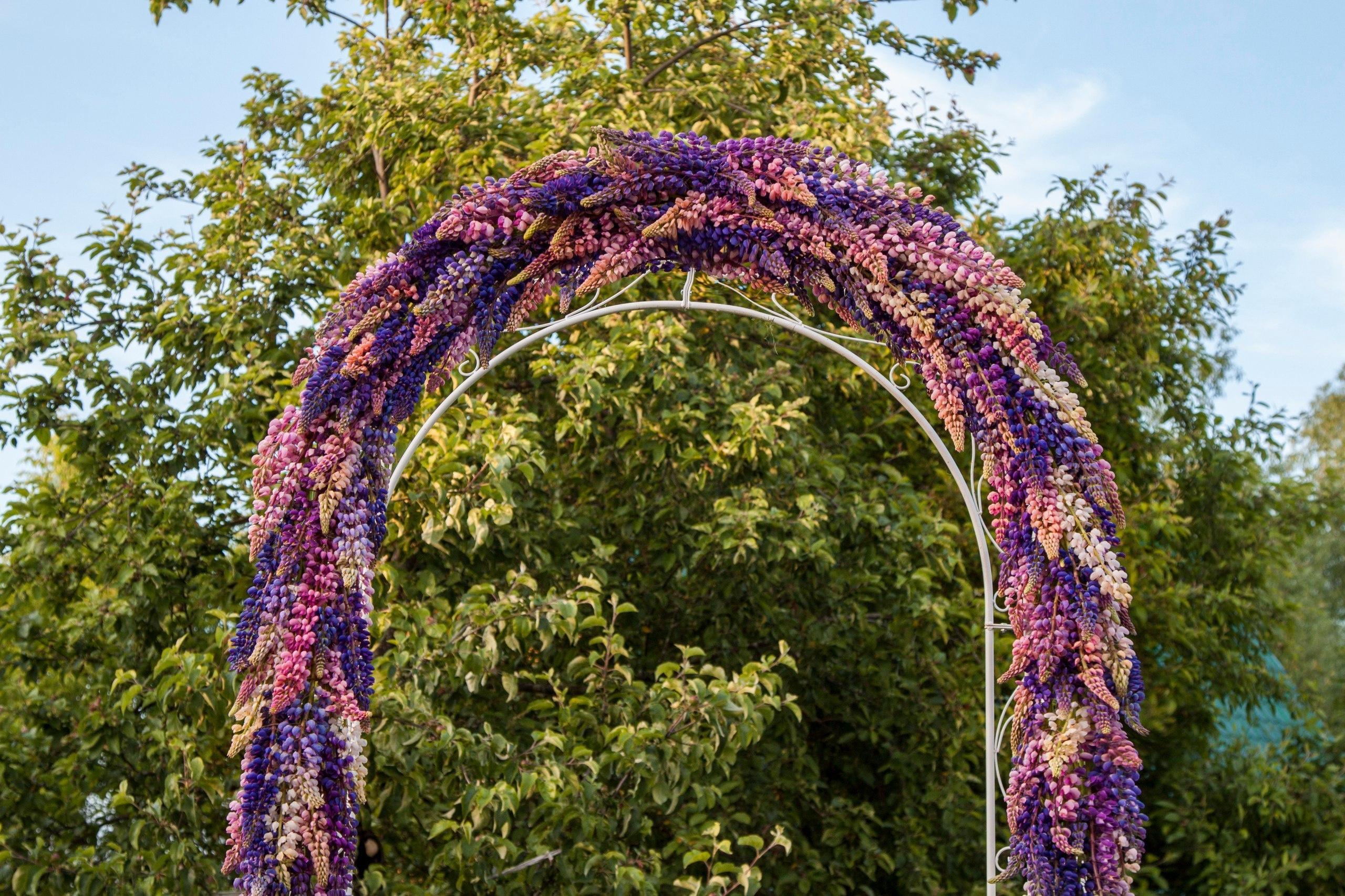 Оформление свадебной арки. Флорист Маргарита Гладкова