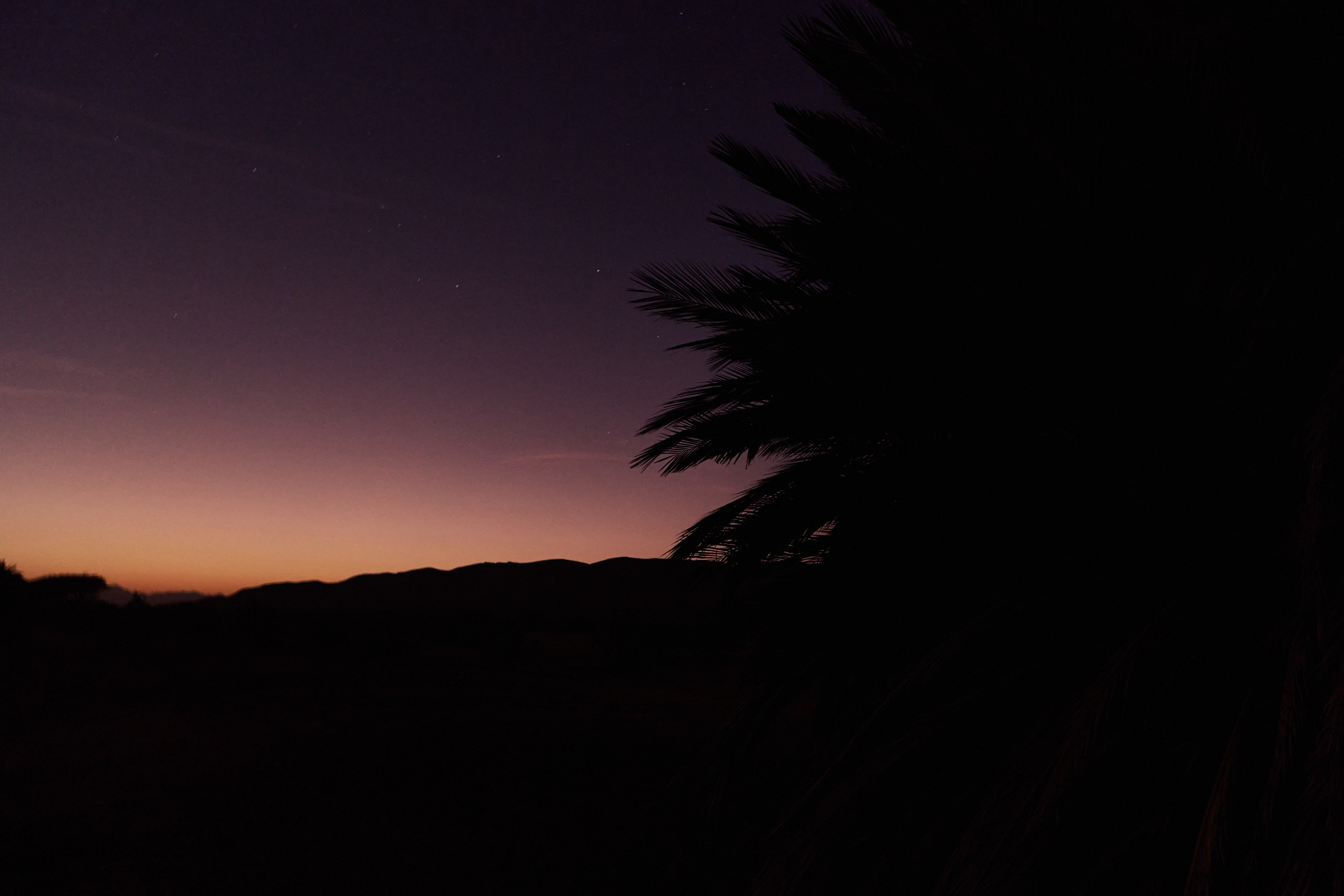 Другое 3. Jorgis — фотограф в Хургаде / обучение фотографии