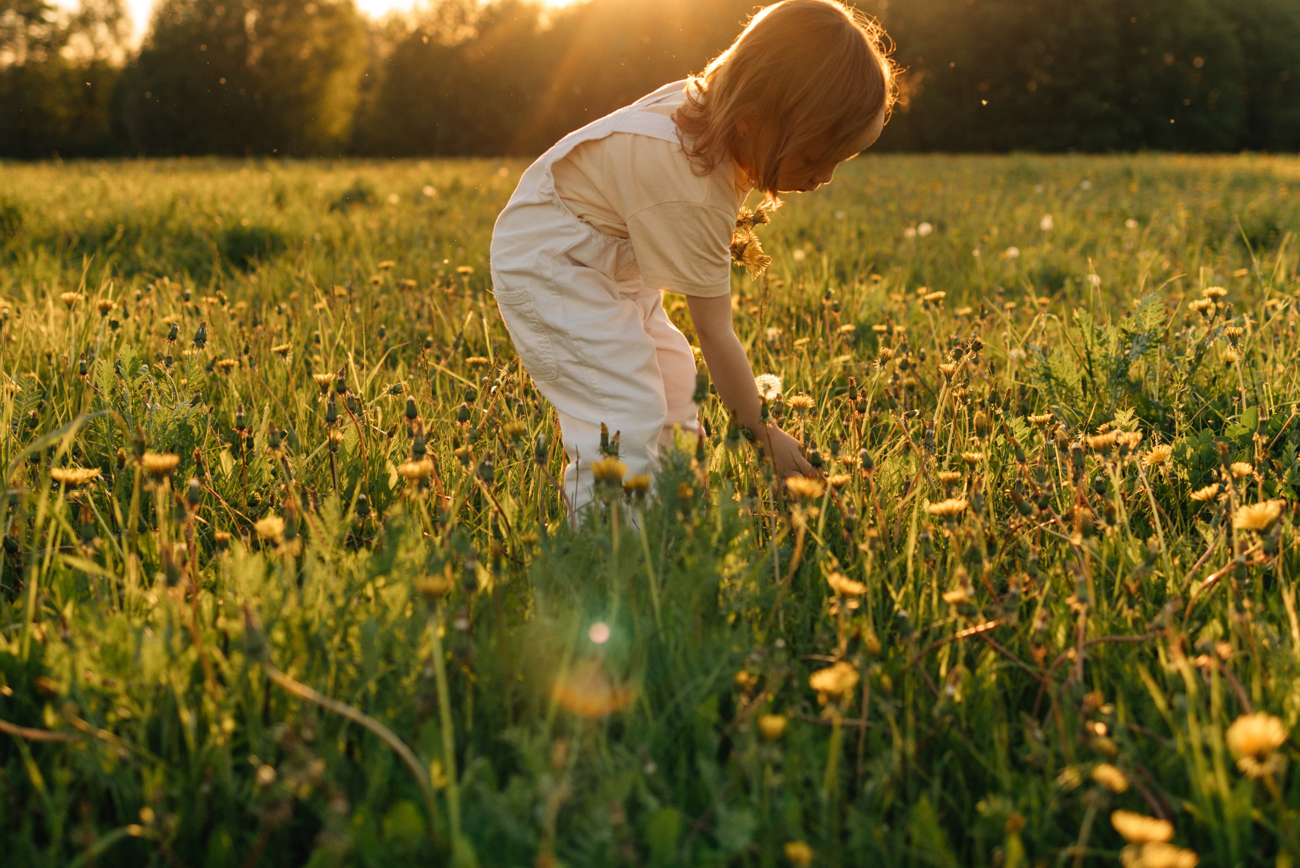 Солнечные львята. Фотограф Москва Светлана Кирюшина