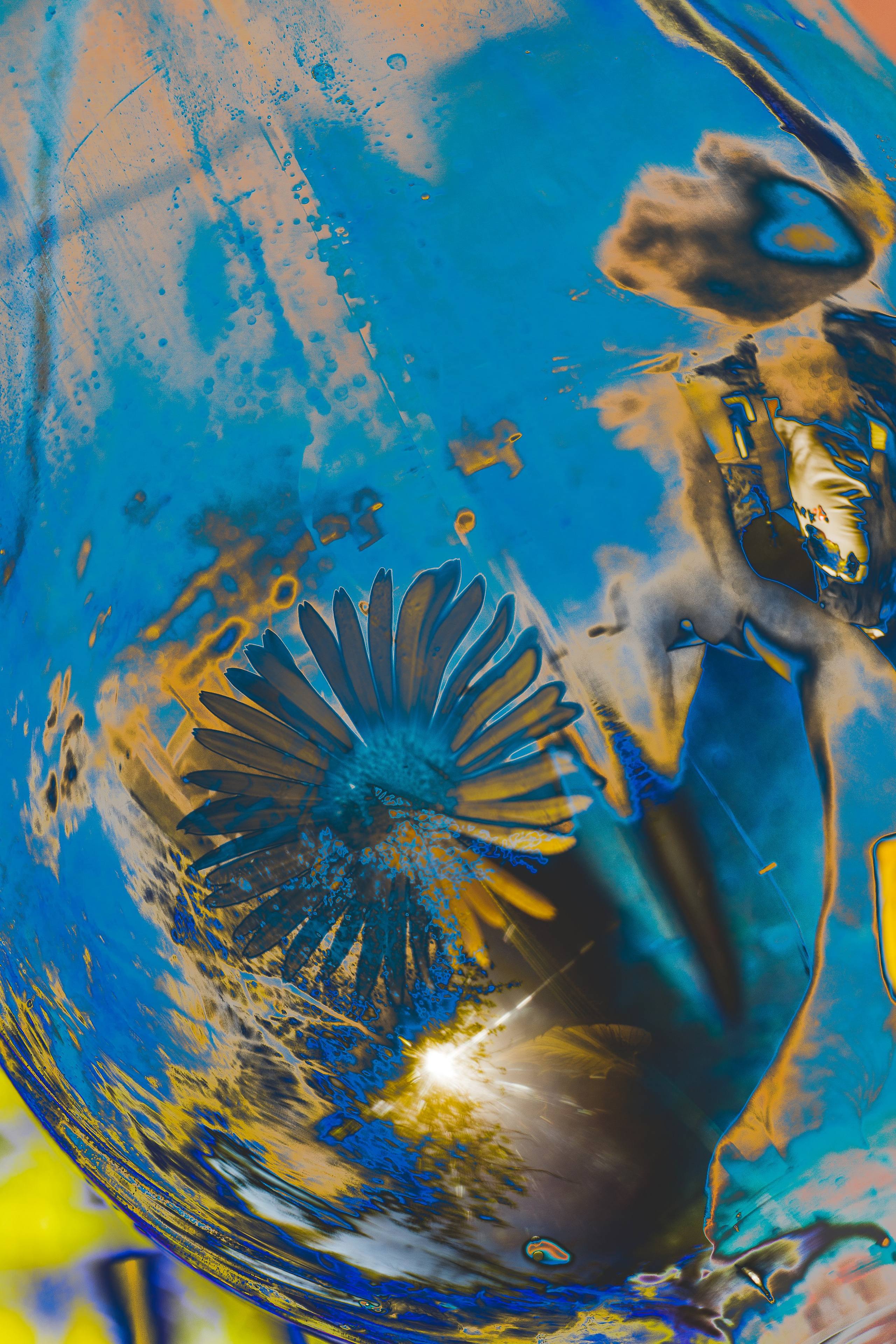 NON-EXISTENT FLOWERS. Фотограф Евгений Чащихин RGB АРХИТЕКТОР в Перми