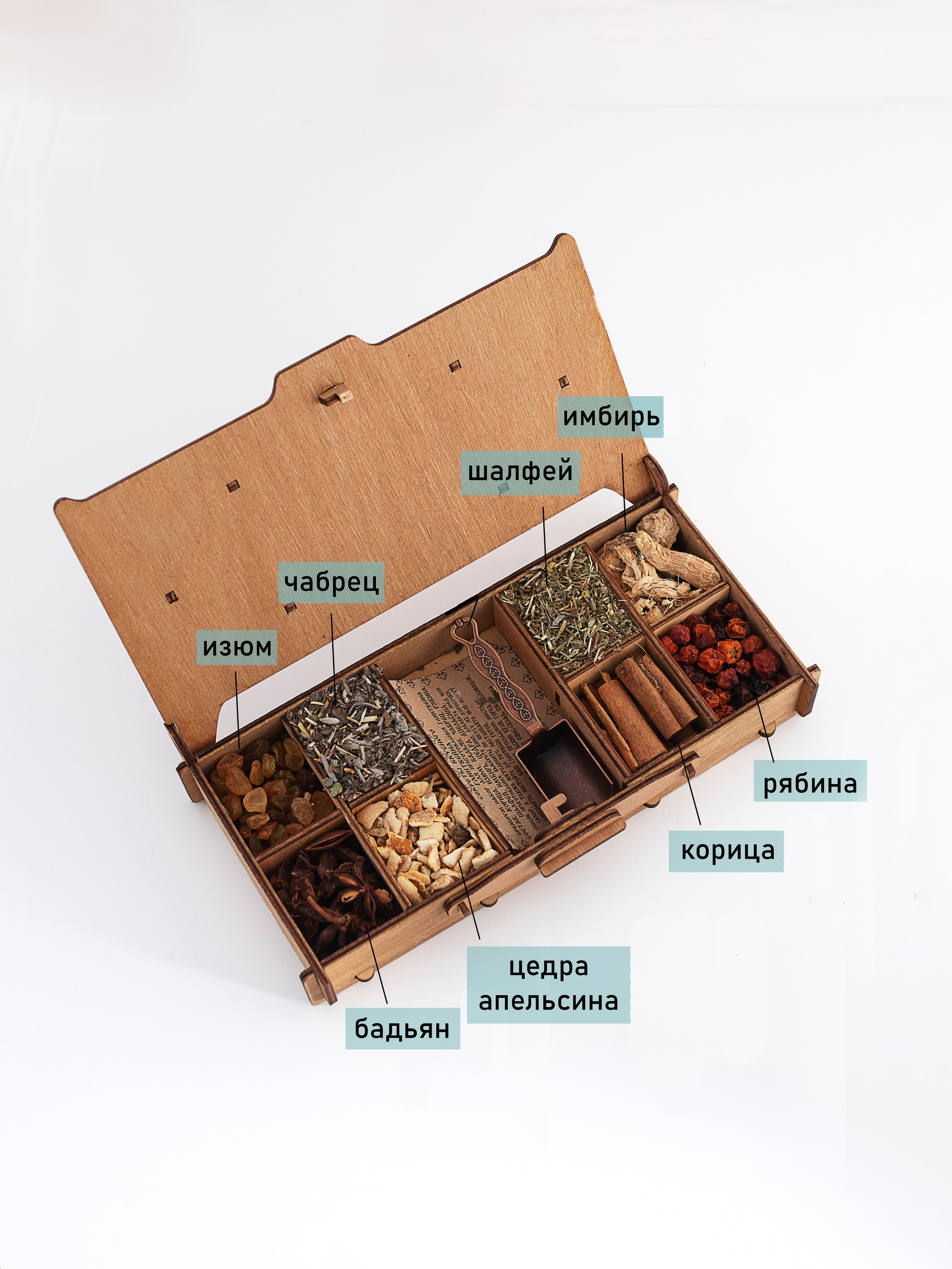 Инфографика. Anushikcreates