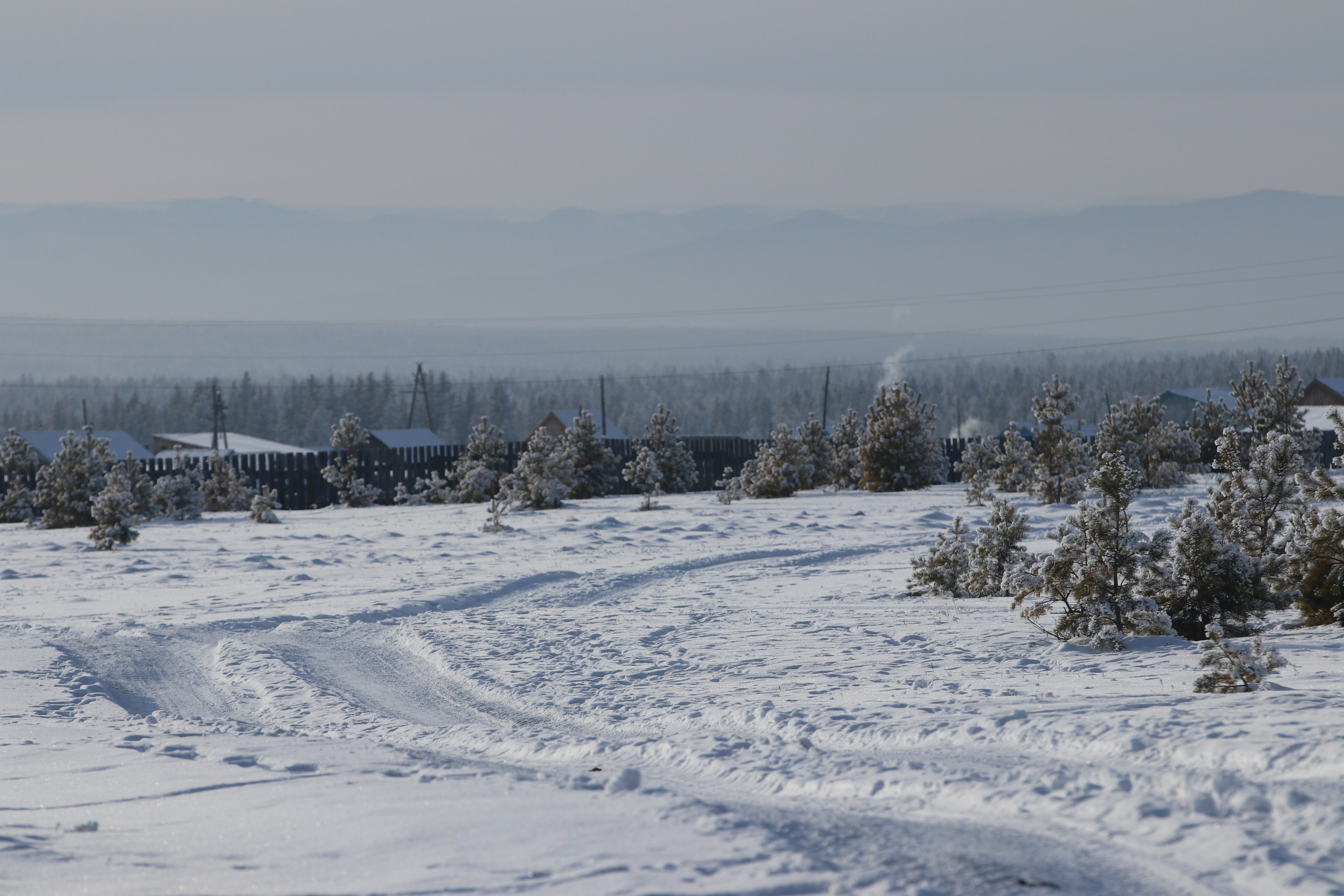Аршан. Январь 2024. Путешественник-фотограф из Санкт-Петербурга Татьяна Свистулина