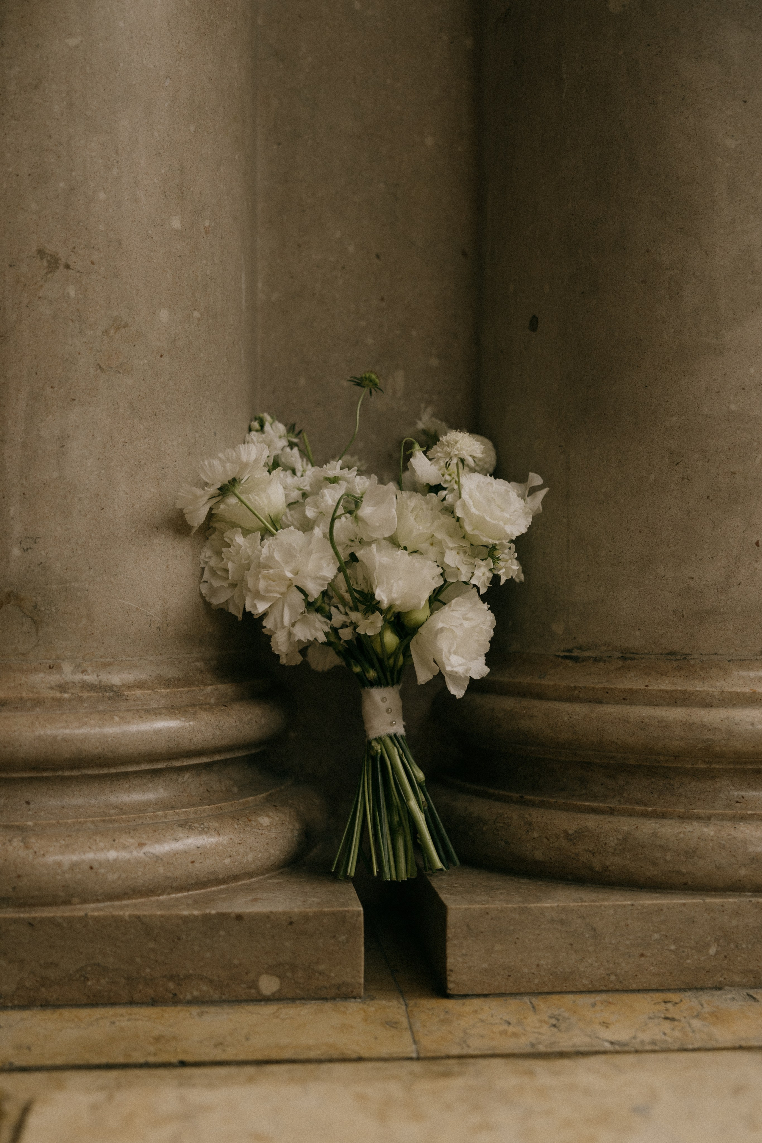 F L O W E R S. Фотограф Санкт-Петербург