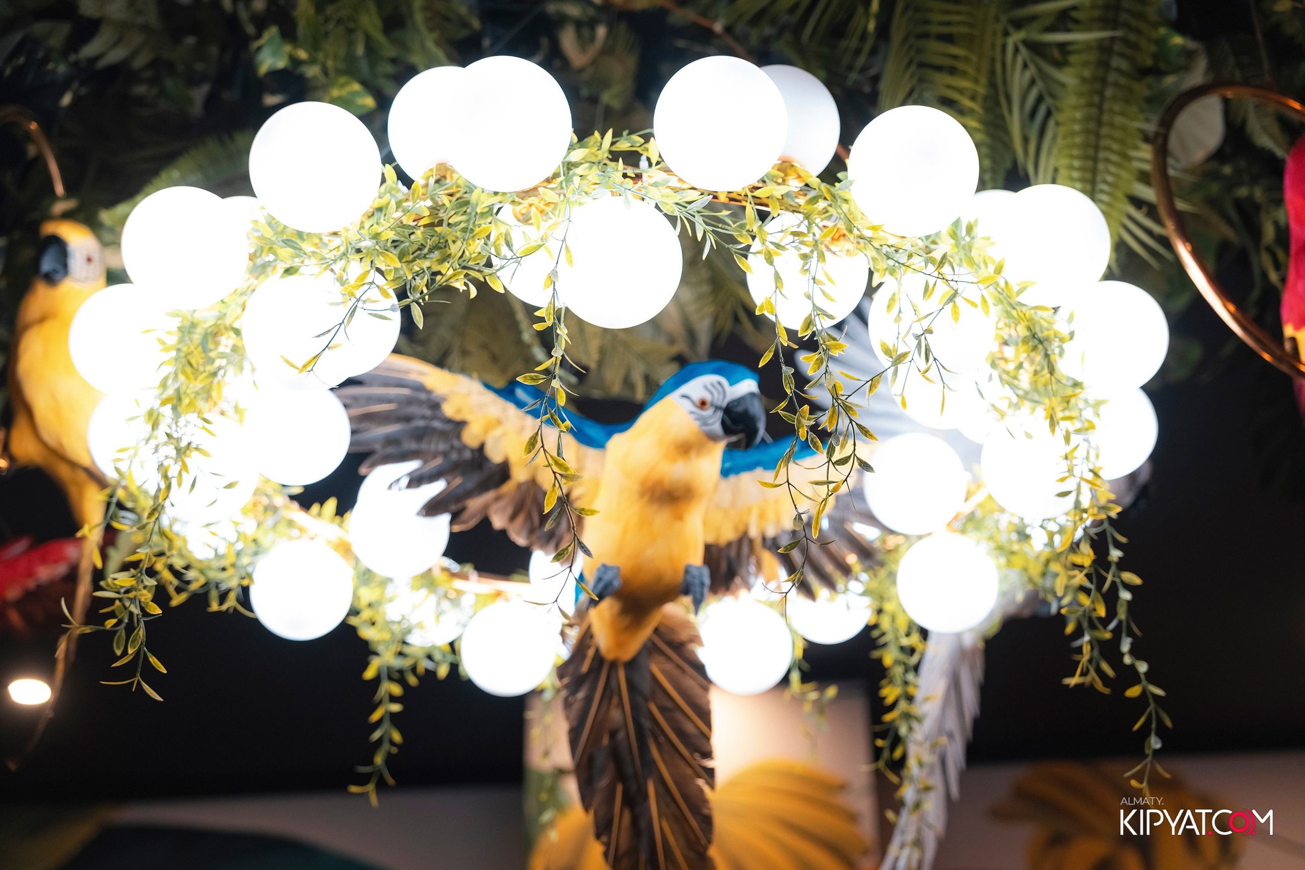 ДОРОГАЯ, Я НЕ ПИЛ. КИПЯТКОМ АЛМАТЫ! Фотосъемка мероприятий в Алматы