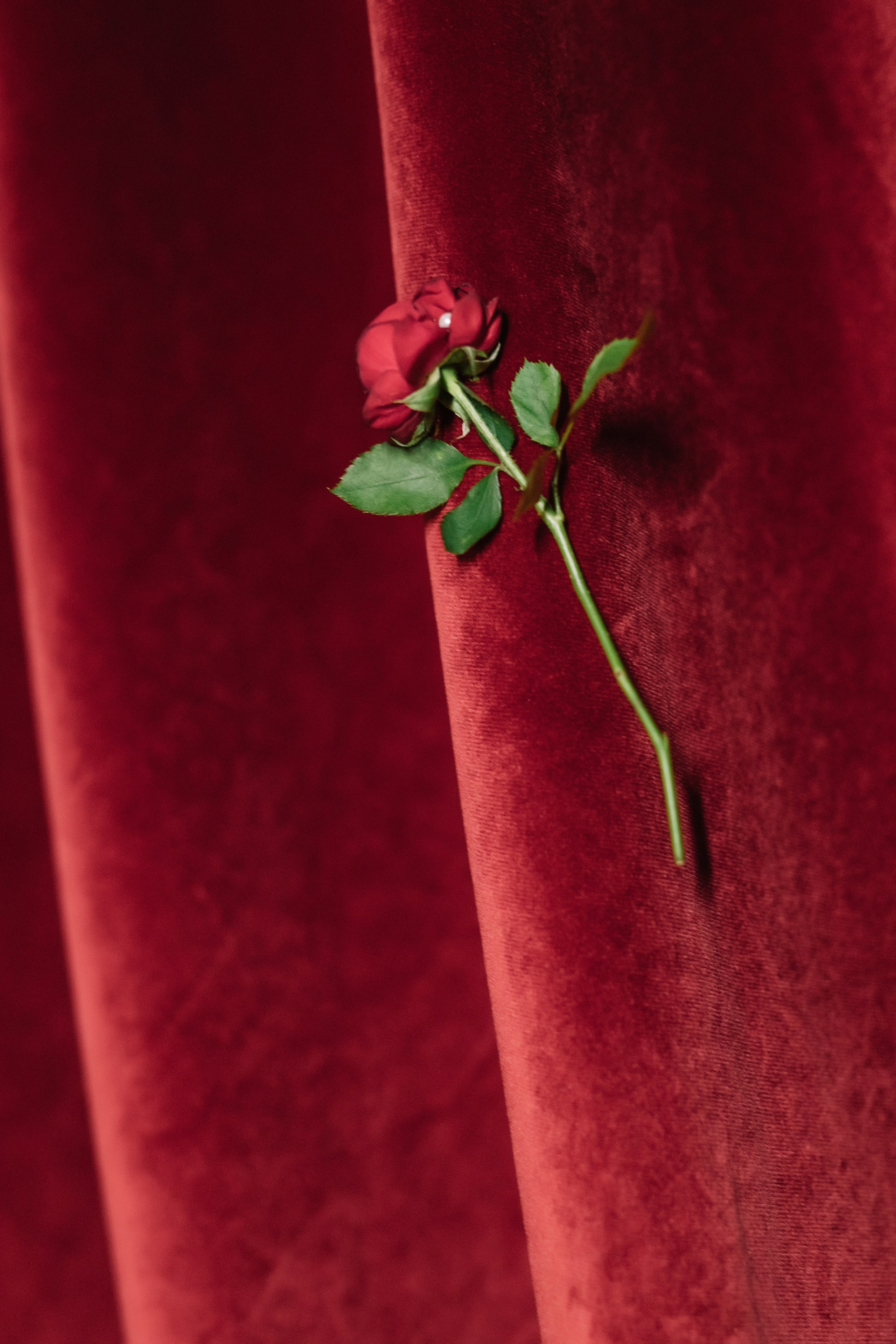 Максим и Алина. Свадебный фотограф в Краснодаре Булатова Наталия