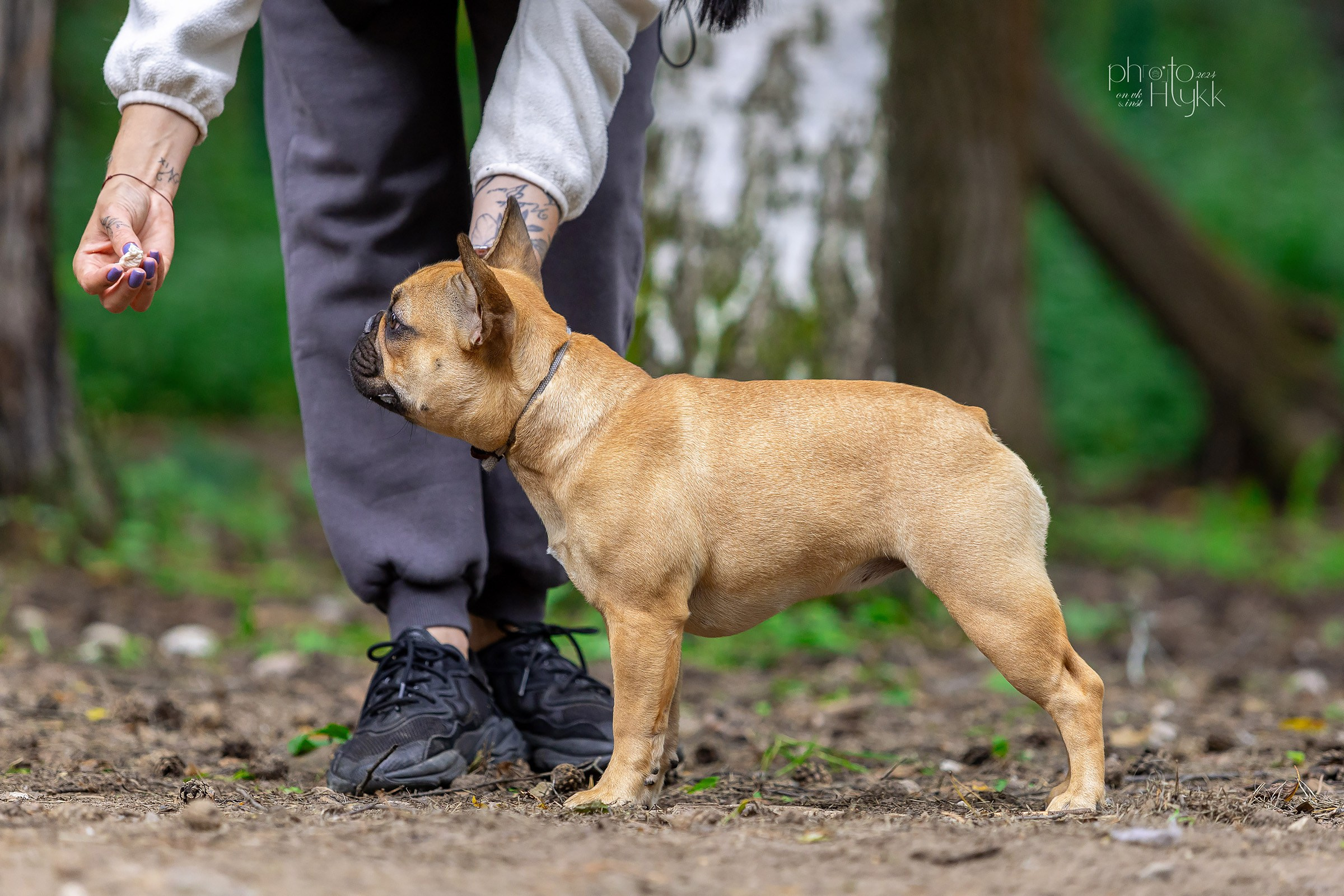 24 августа 2024, Выставка РКФ, г. Пермь. Htykk_photo