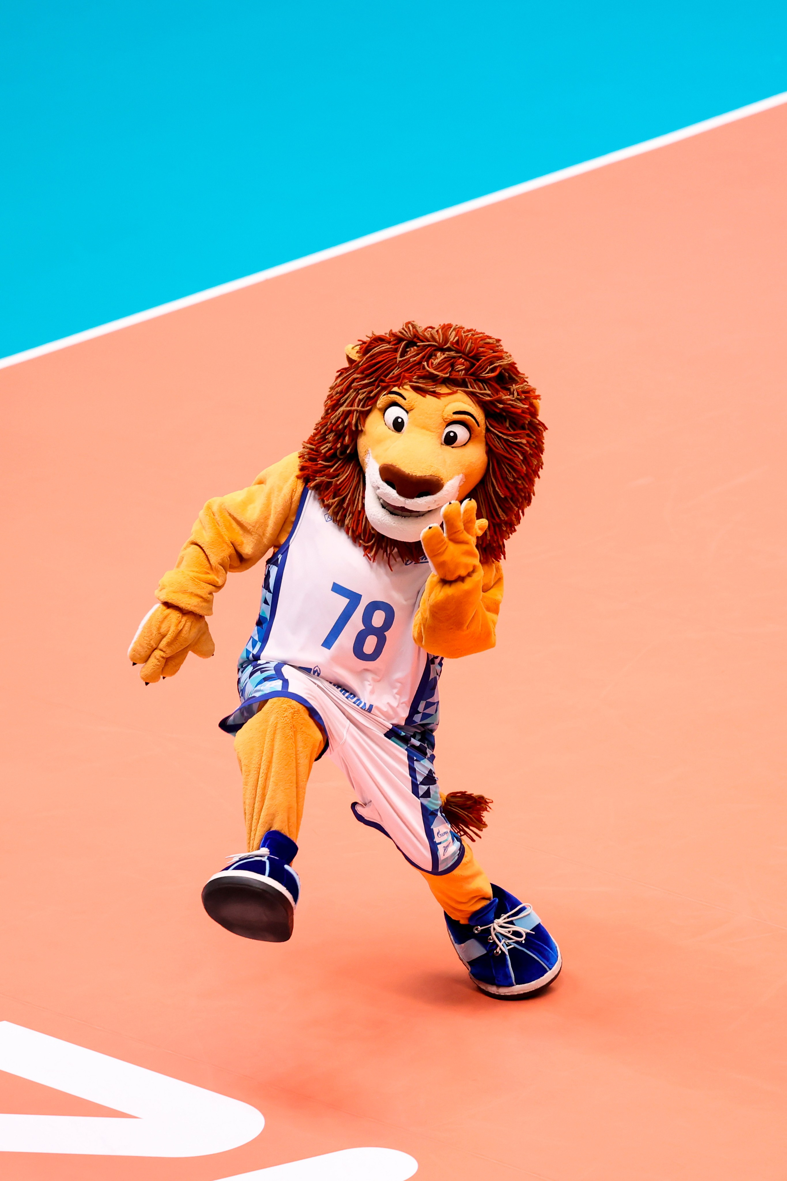 ВК Зенит — ВК АСК 15.03.2025. Спортивный и репортажный фотограф Антон Тереханов