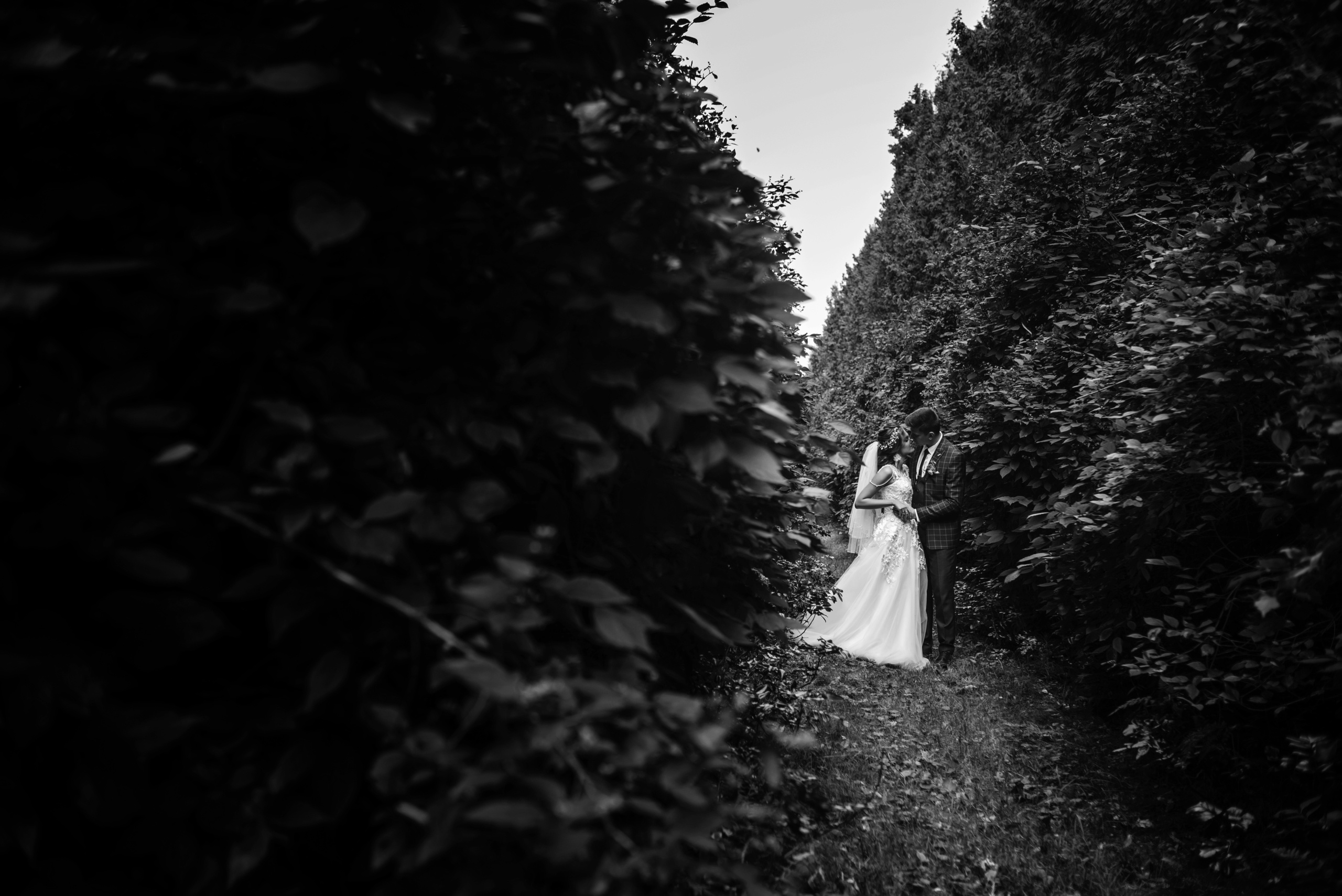 Свадебный фотограф Нижний Новгород. Свадебный фотограф в Нижнем Новгороде Дмитрий Смирнов