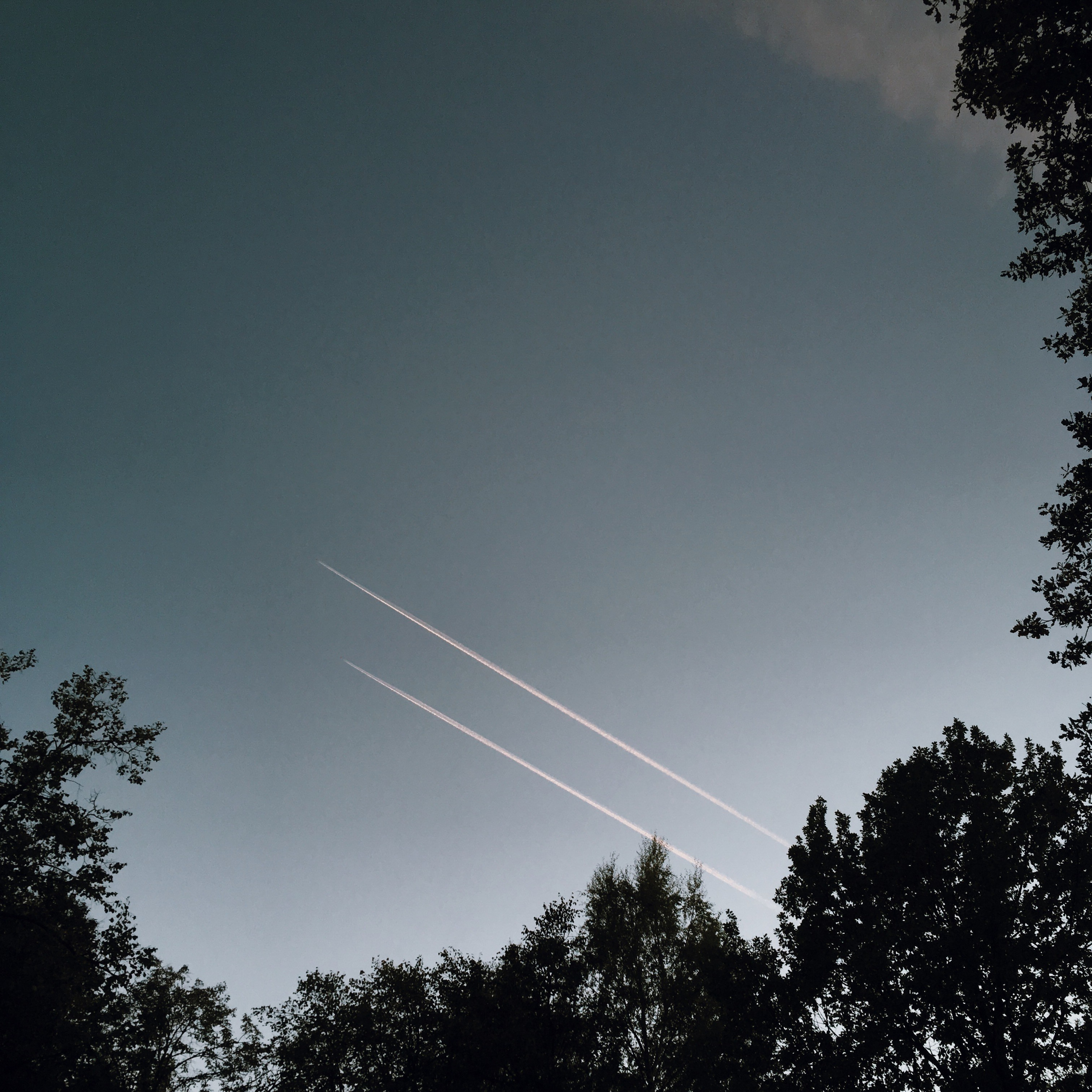 Визуальный дневник. Портретный фотограф в Москве Гахраманова Екатерина