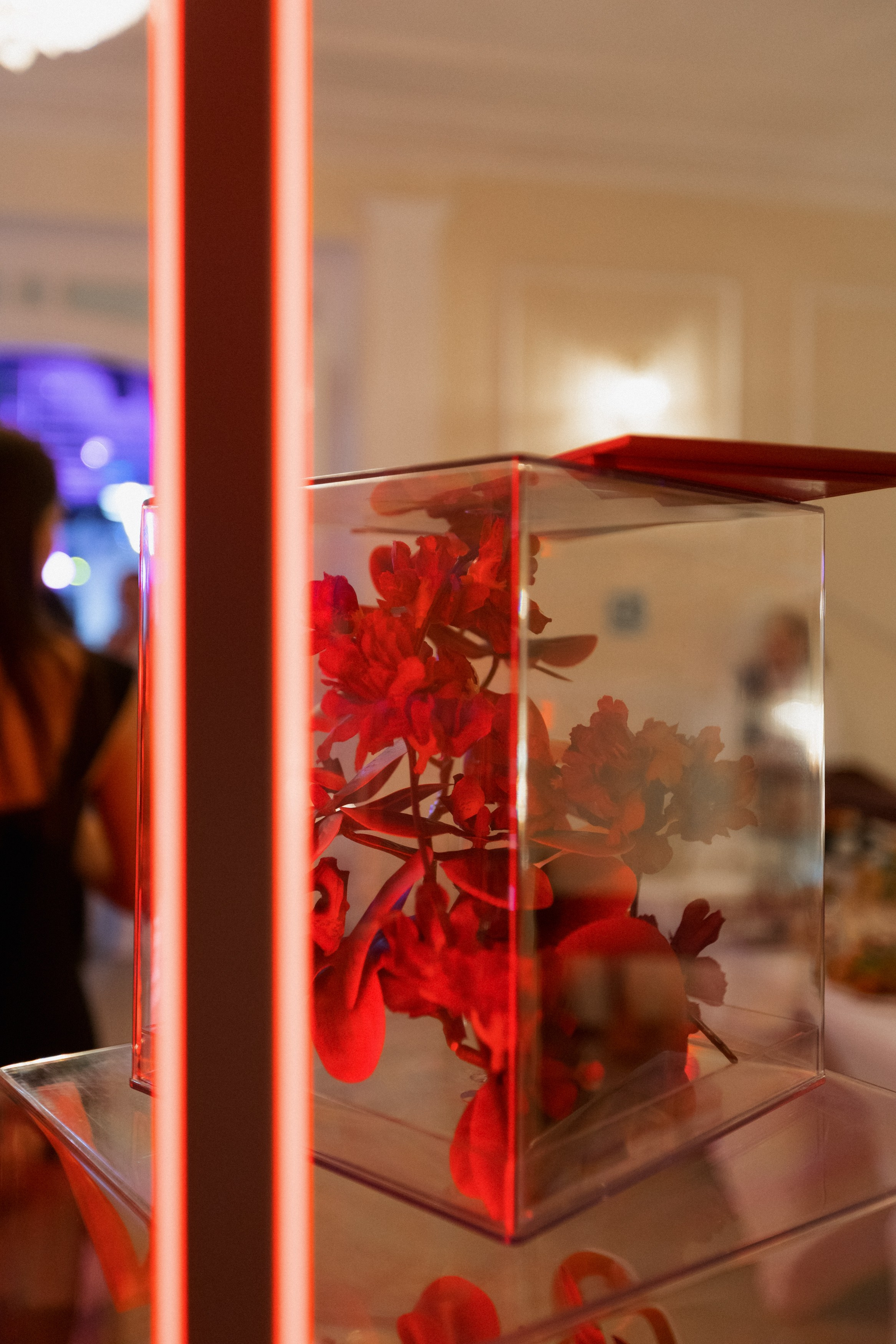 DGD WILD PINK. СВОИ. ФОТООТЧЕТЫ-СОБЫТИЯ-МЕСТА