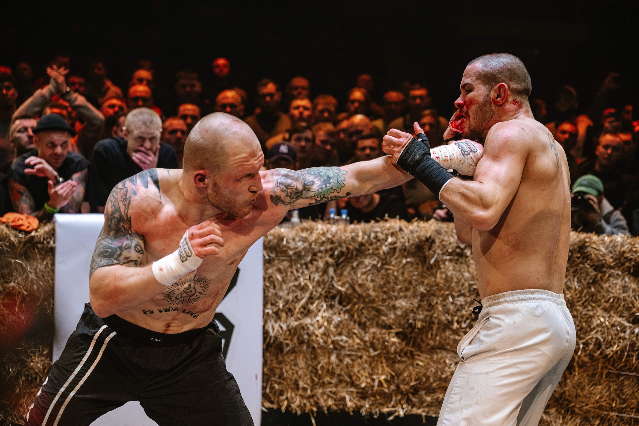 TOP DOG 2. Максим Комаров — Профессиональный фотограф