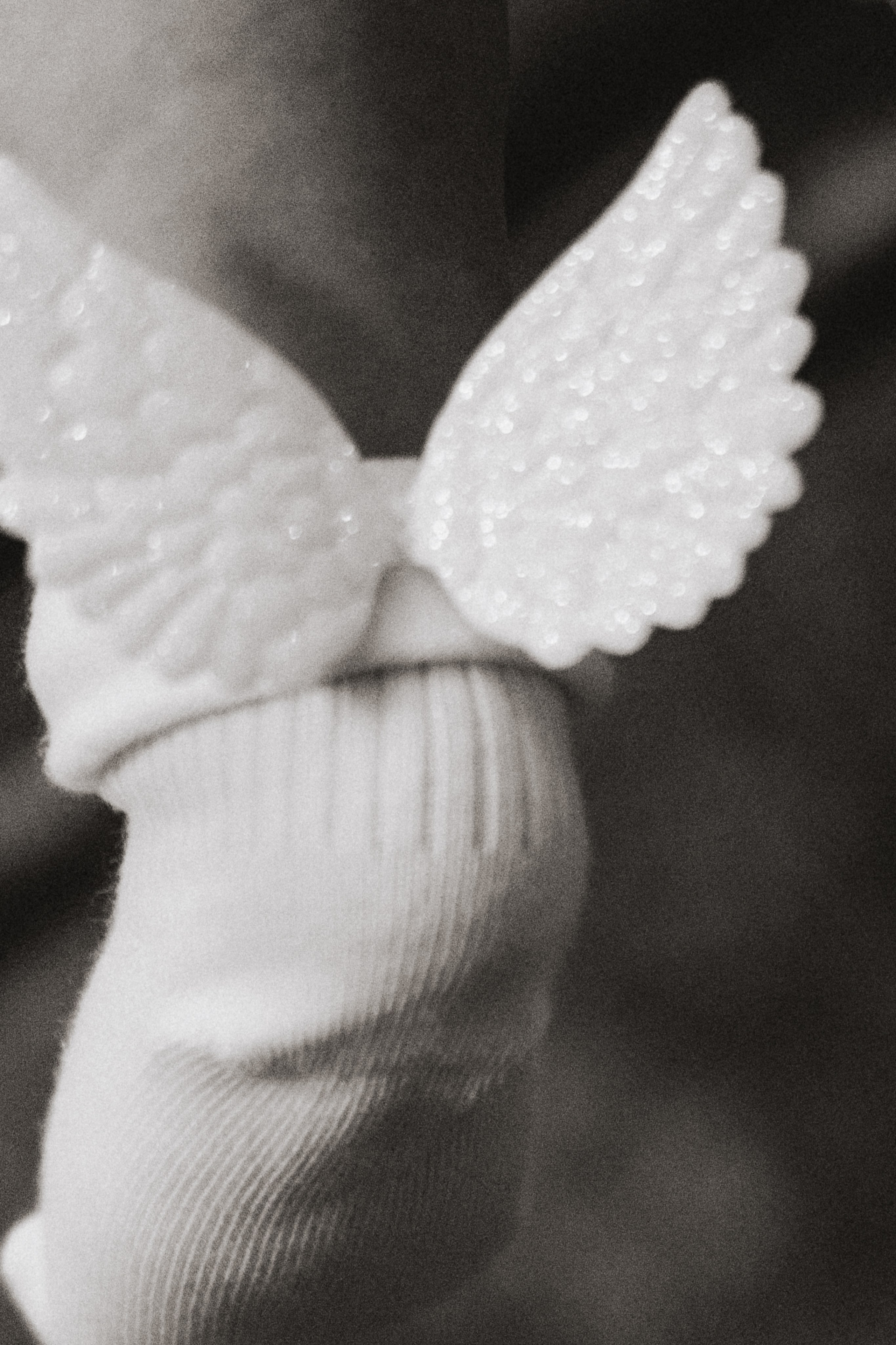 Miay. Свадебный и семейный фотограф в Краснодаре Диана Смирнова