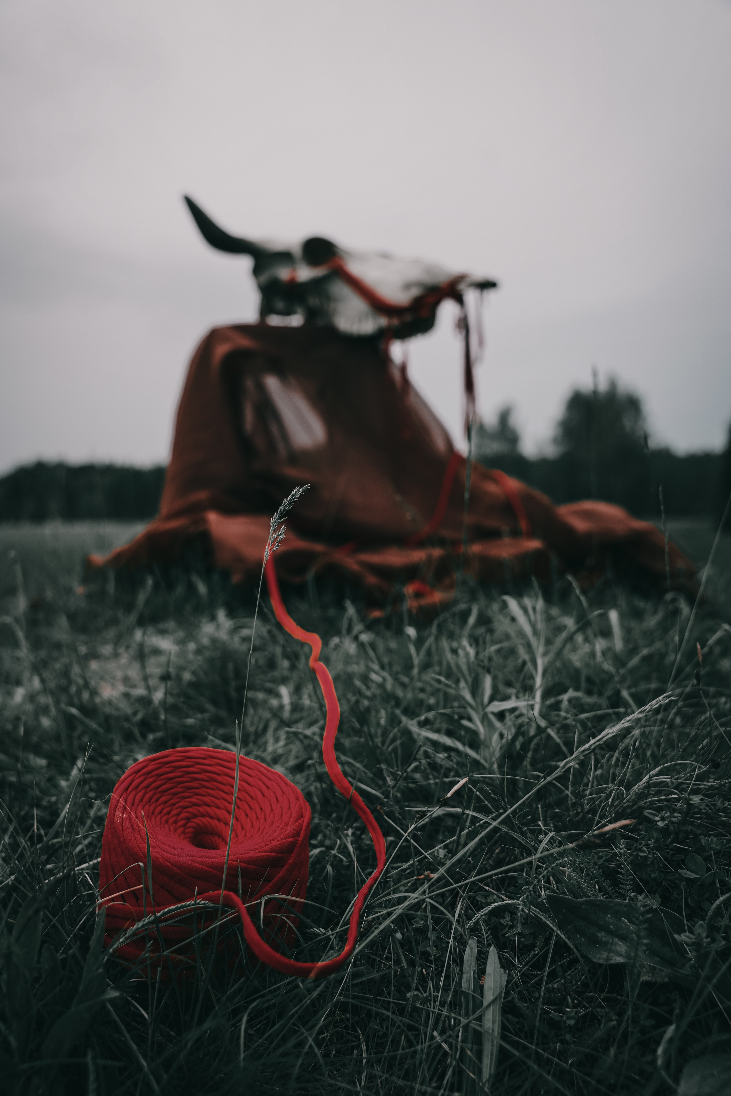 Театр SubRosa *персонажи. Портретный фотограф в Смоленске и Москве Мария Громова