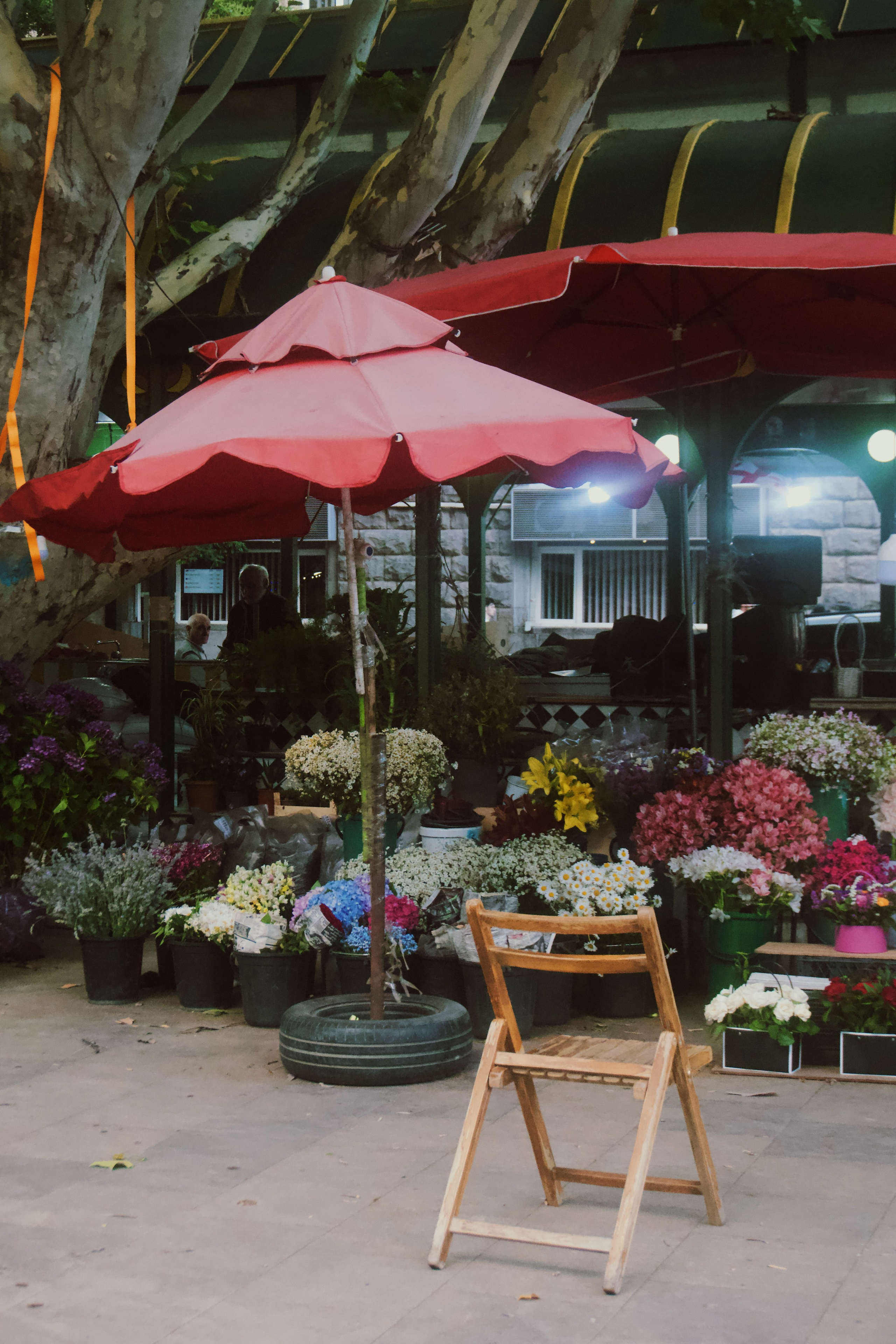 Тбилиси. Татьян гертье