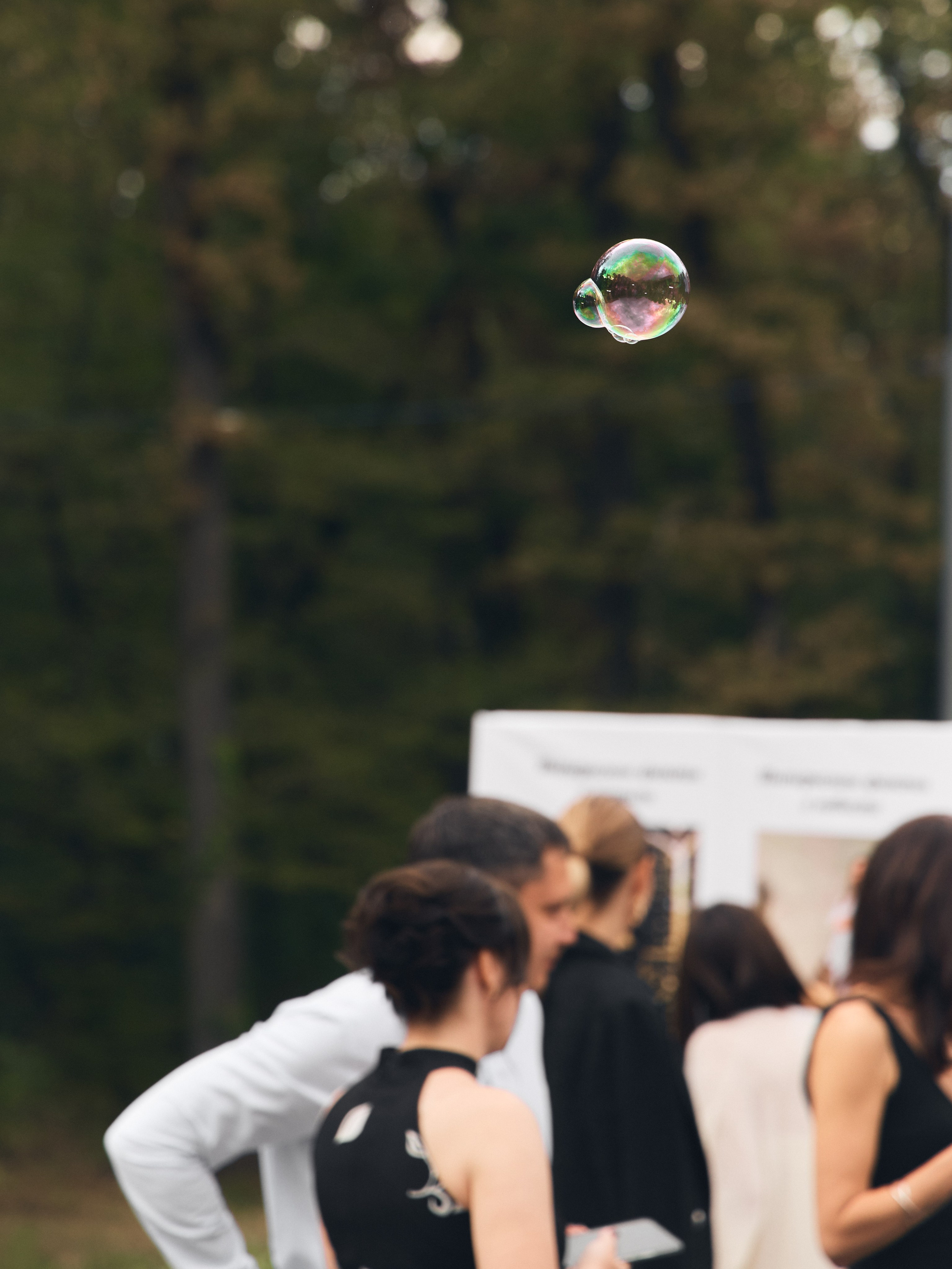Александр и Алина. Свадебный фотограф в Майкопе