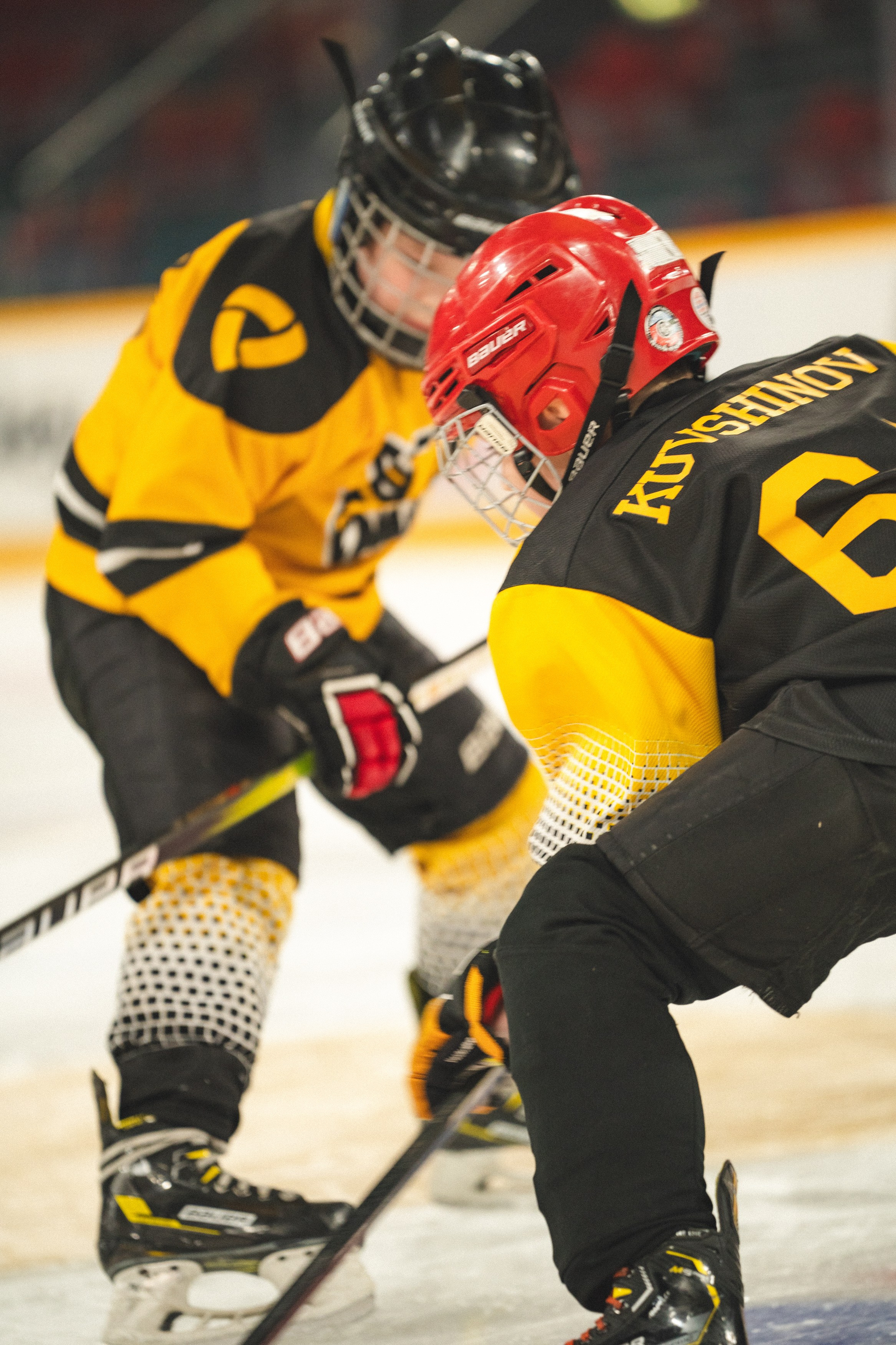 ХК Северсталь (младшая группа). Череповец. Zekons. Фото, видео, нейросети