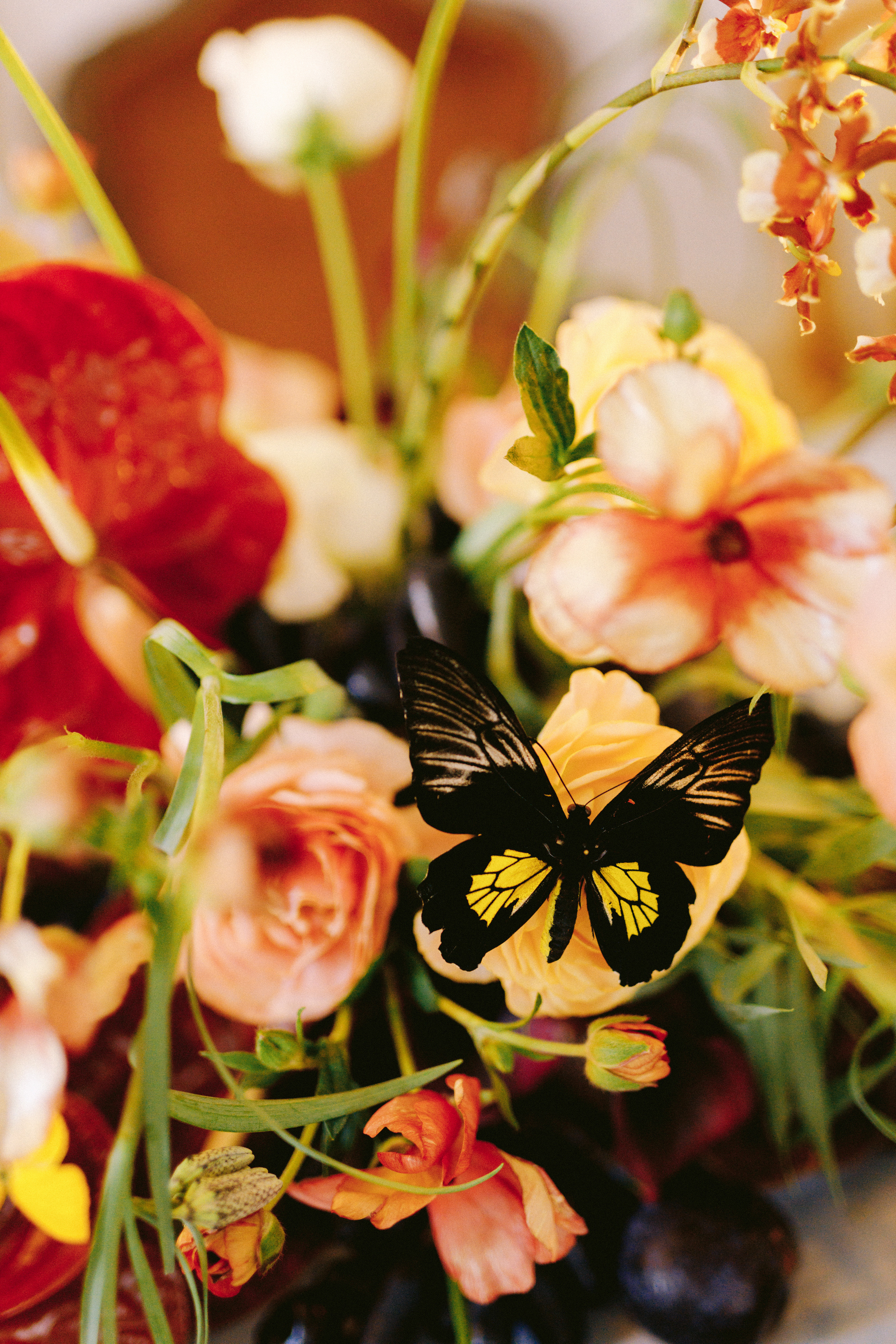 Gucci. Свадебный и семейный фотограф в Красноярске Прохорова Екатерина