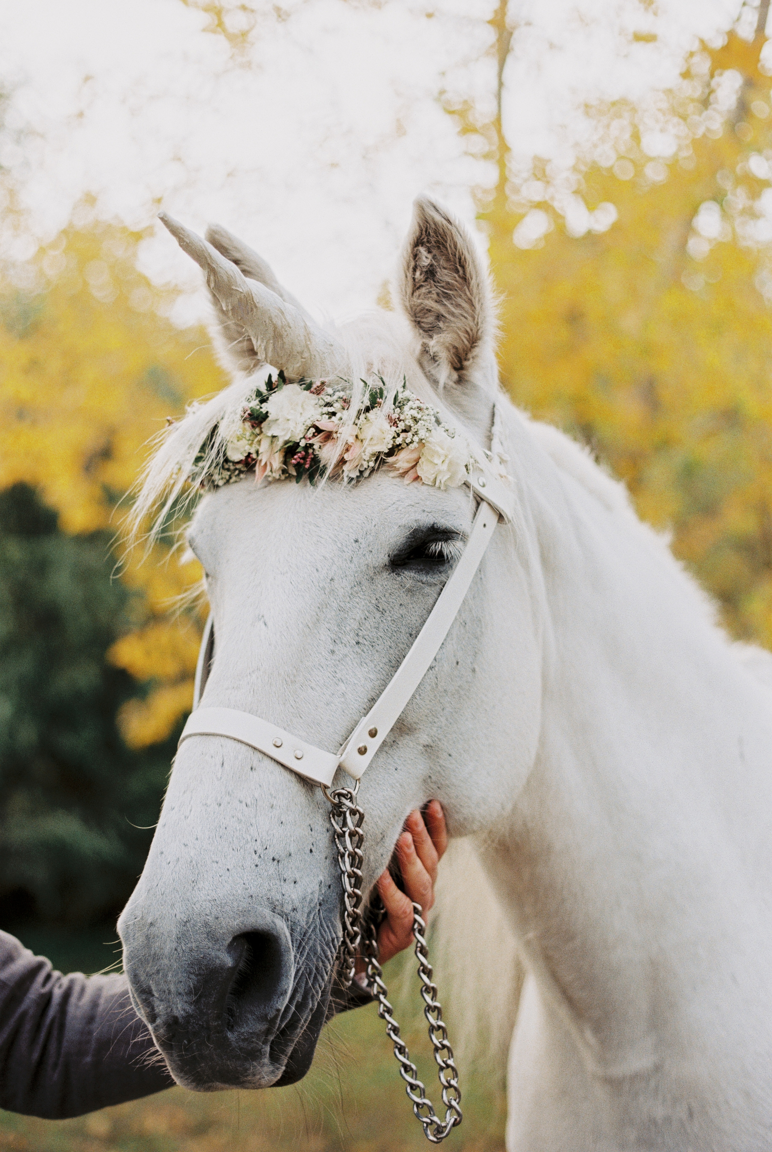 Novosibirsk. Свадебный и семейный фотограф в Красноярске Прохорова Екатерина