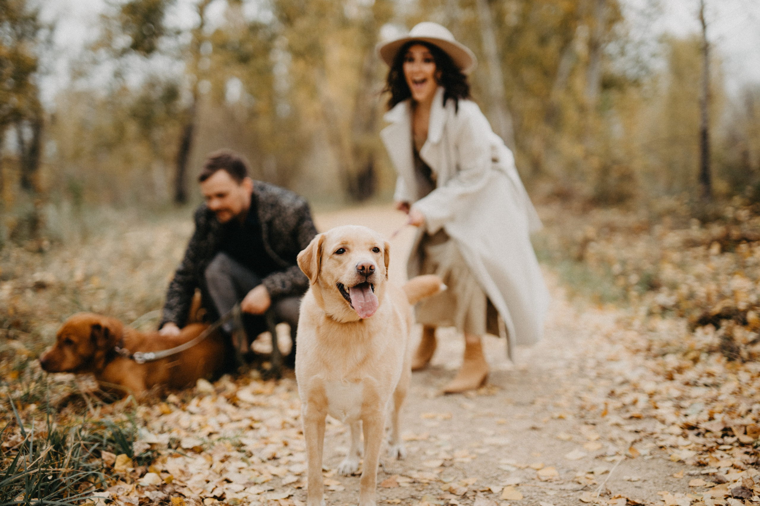 Крис и Артем. Свадебный и семейный фотограф в Красноярске Прохорова Екатерина