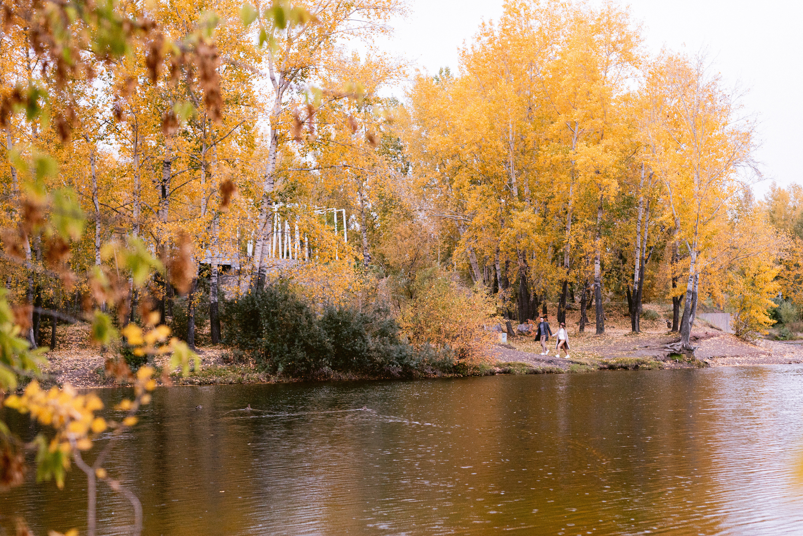 Егор и Марина. Свадебный и семейный фотограф в Красноярске Прохорова Екатерина