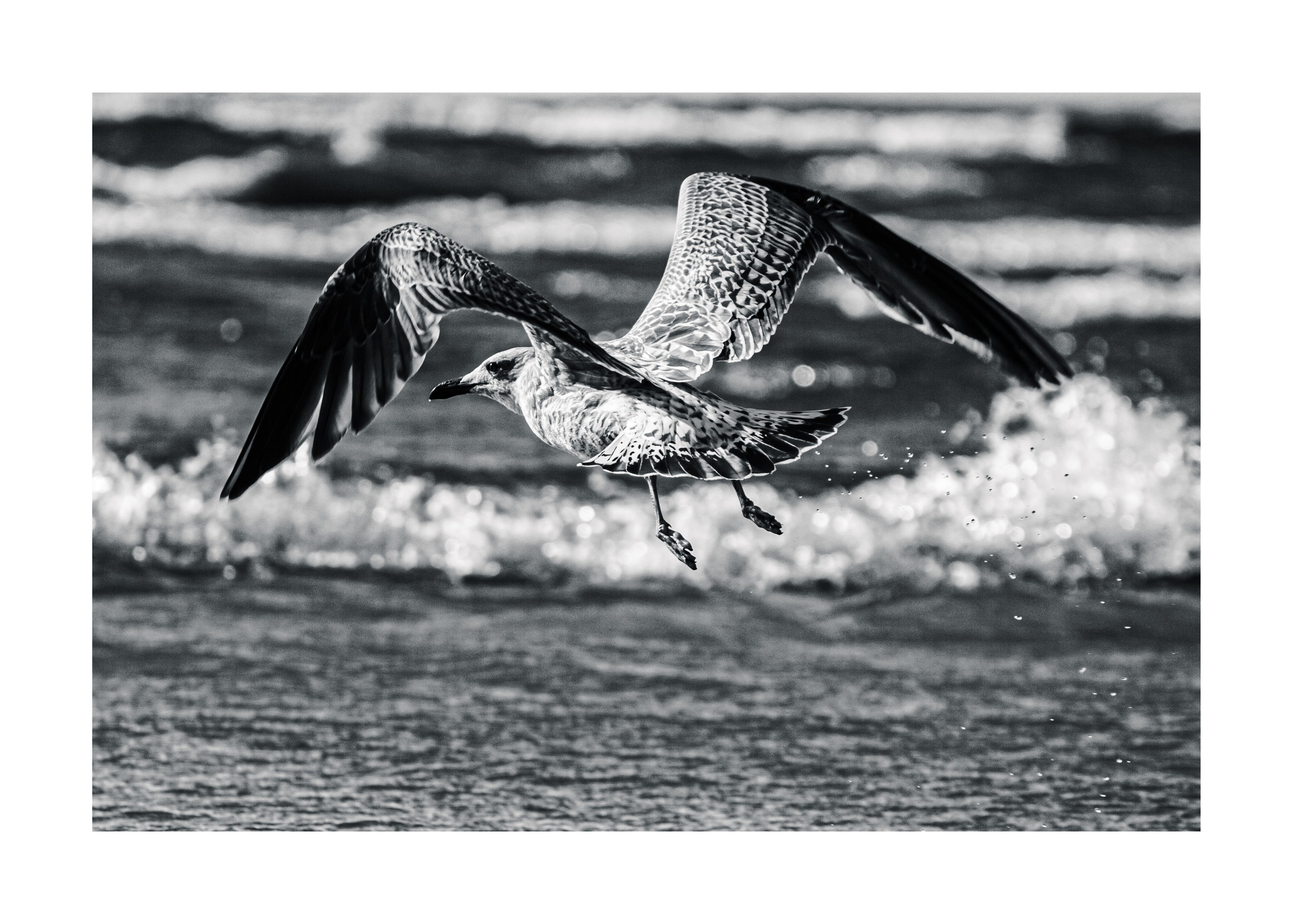 постер постеры море фото на стену фото для печати фото в раму декор из фото