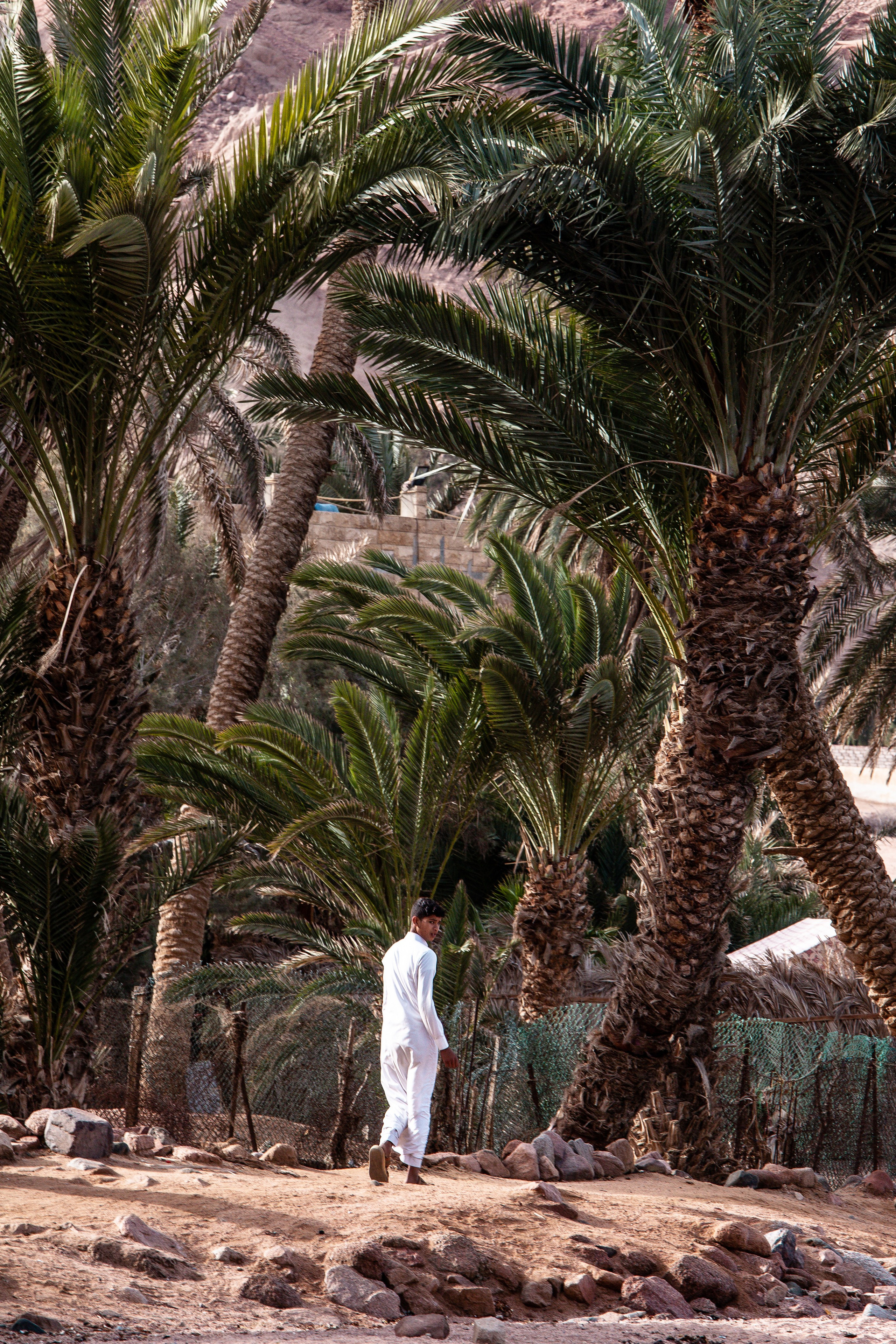 DAHABibi. Дария Галямова — фотограф: открытый, творческий, коммерческий