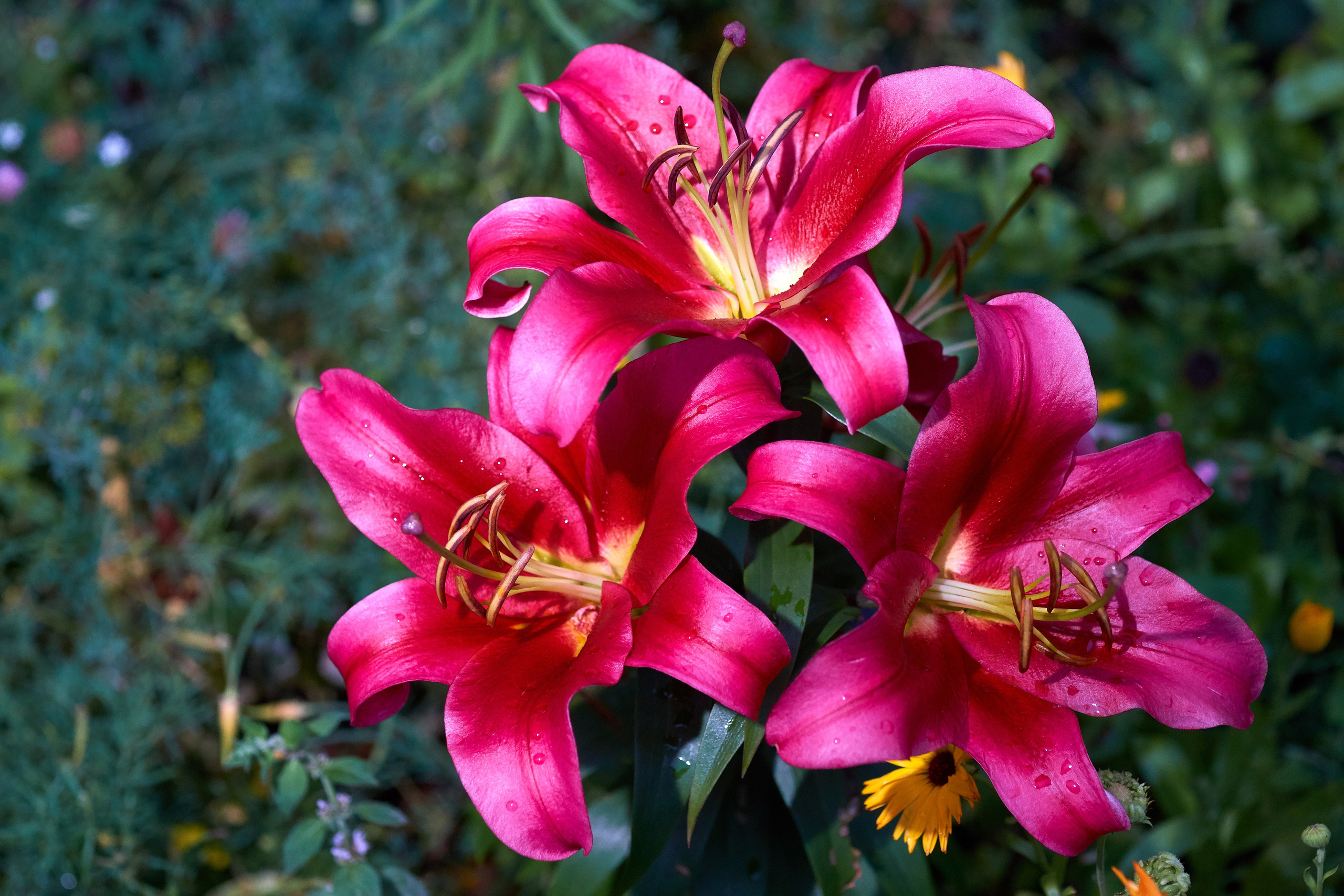 Наша мать — природа. Фотограф Владимир Артамонов