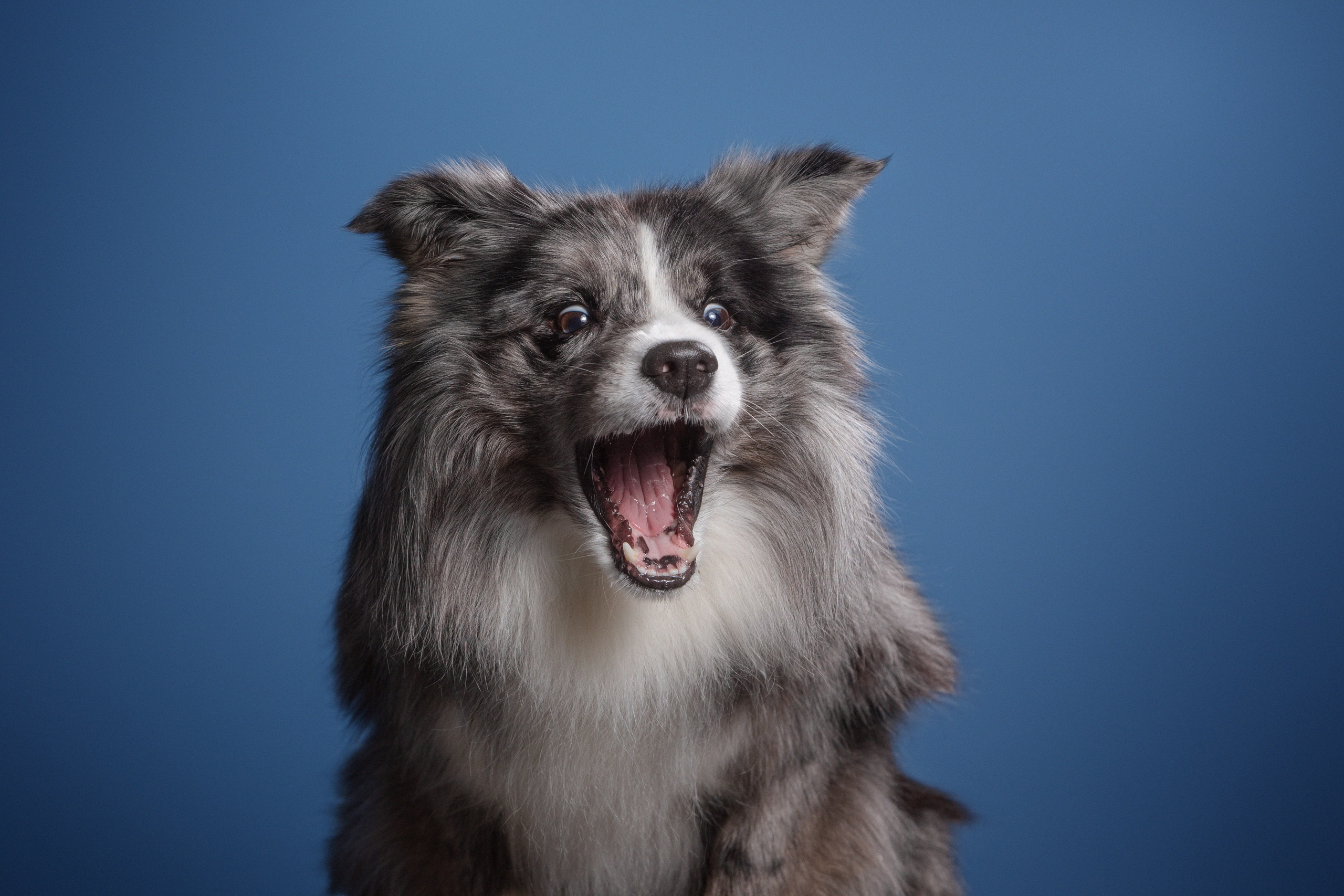Фотодень в Москве. Фотограф Анна Тюрина