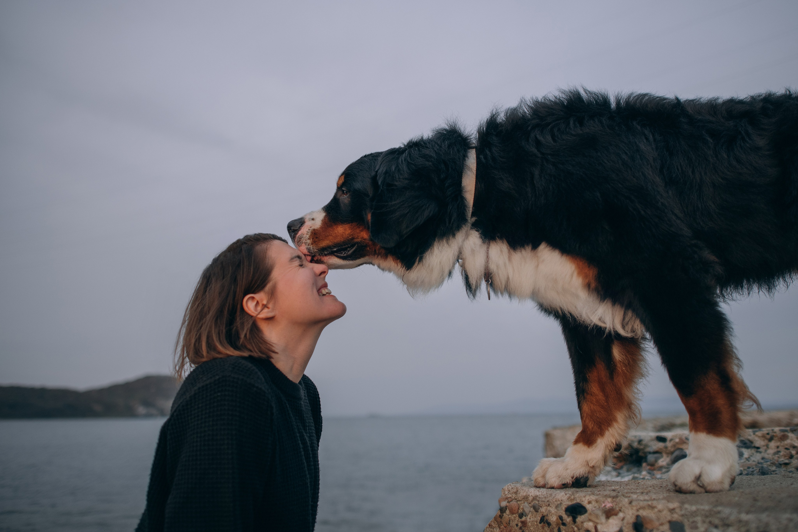 Владивосток: Марс и Маша. Портфолио