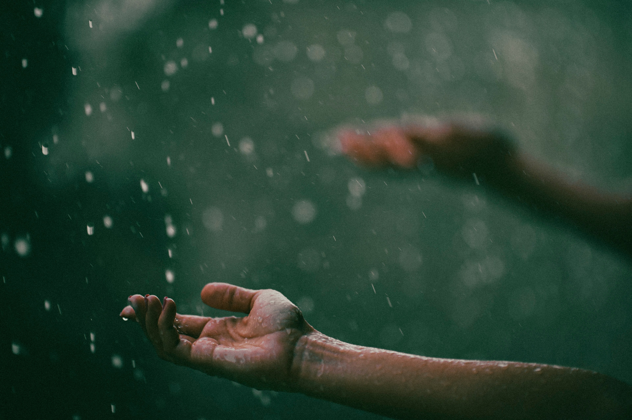 Жизнь. Профессиональный фотограф Кирилл Зайцев