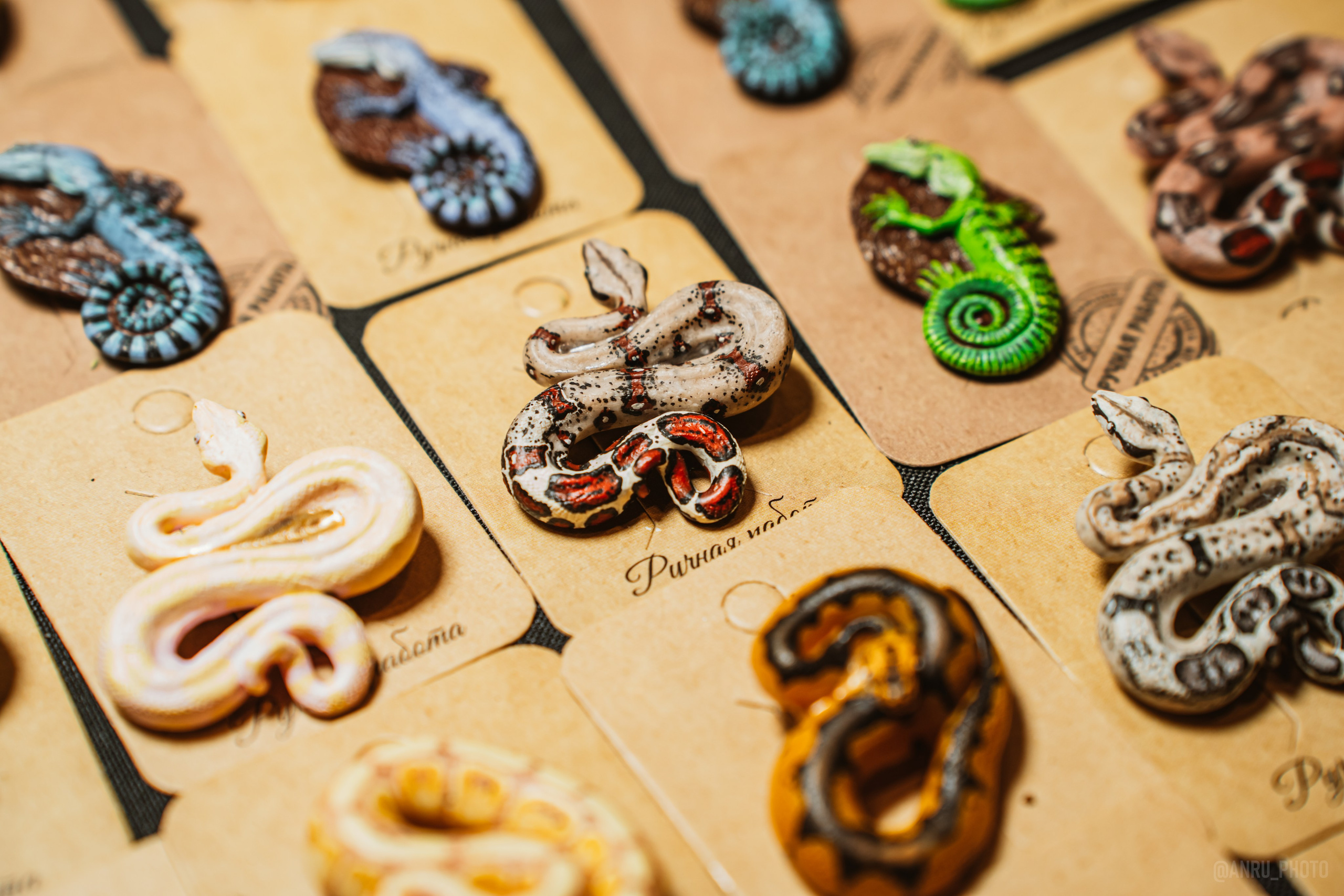 Рептилиум (ручная работа). Репортажный фотограф Анастасия Рубцова