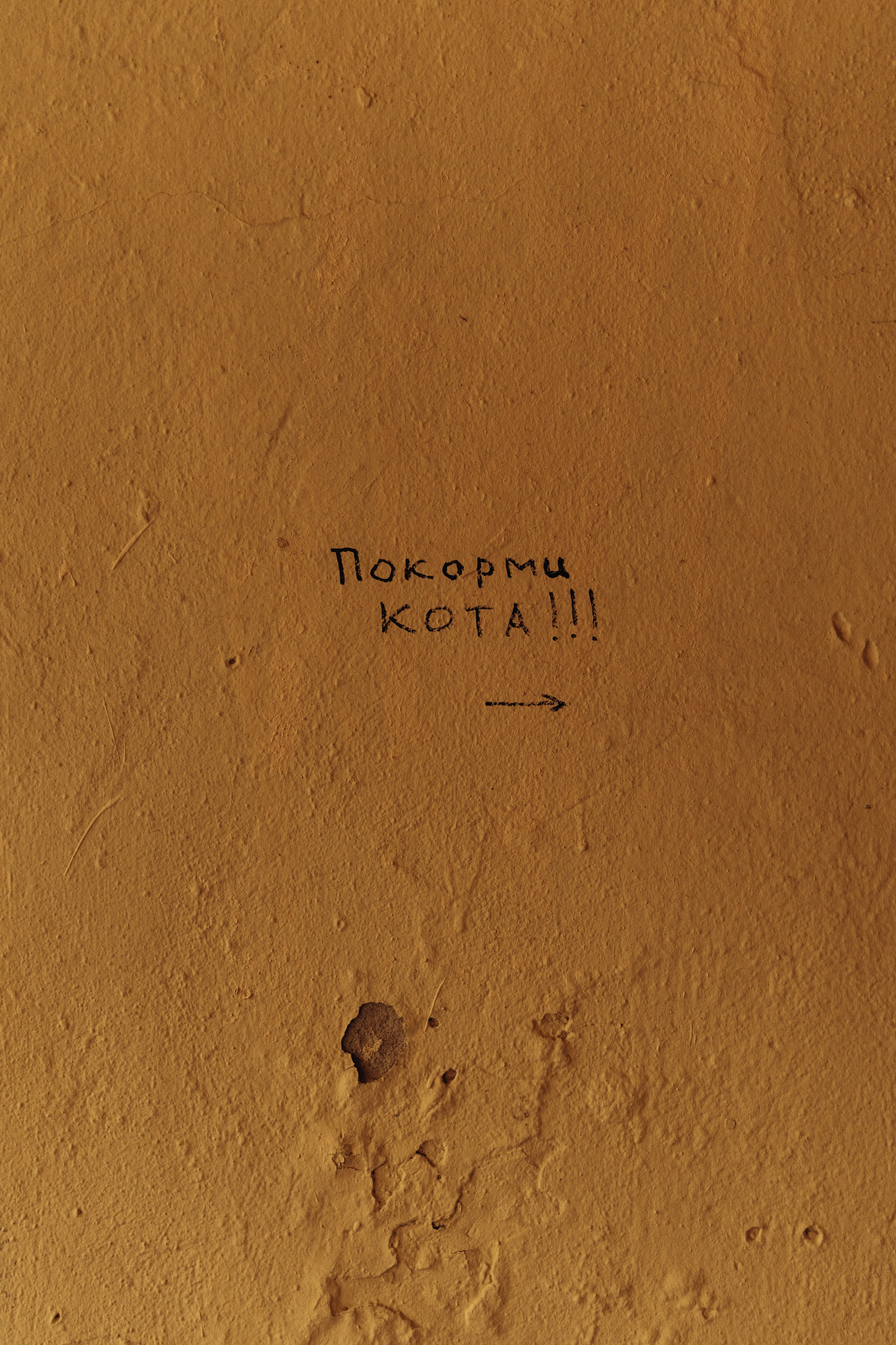 Иван и Регина. Hmliber — фотограф и контент-креатор из Петербурга