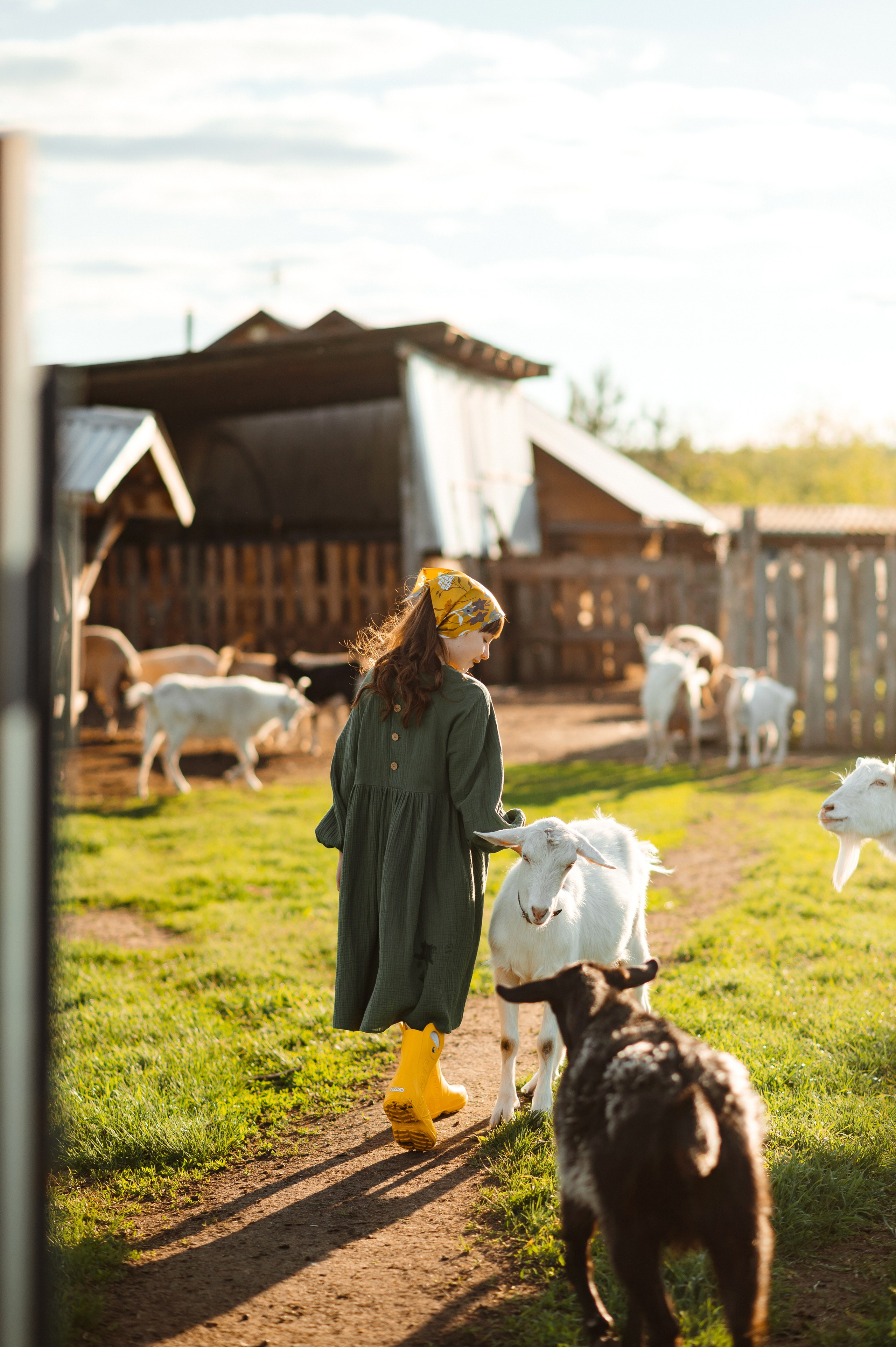 О любви к животным. Свадебный и семейный Фотограф в Пензе Татьяна Лапоногова