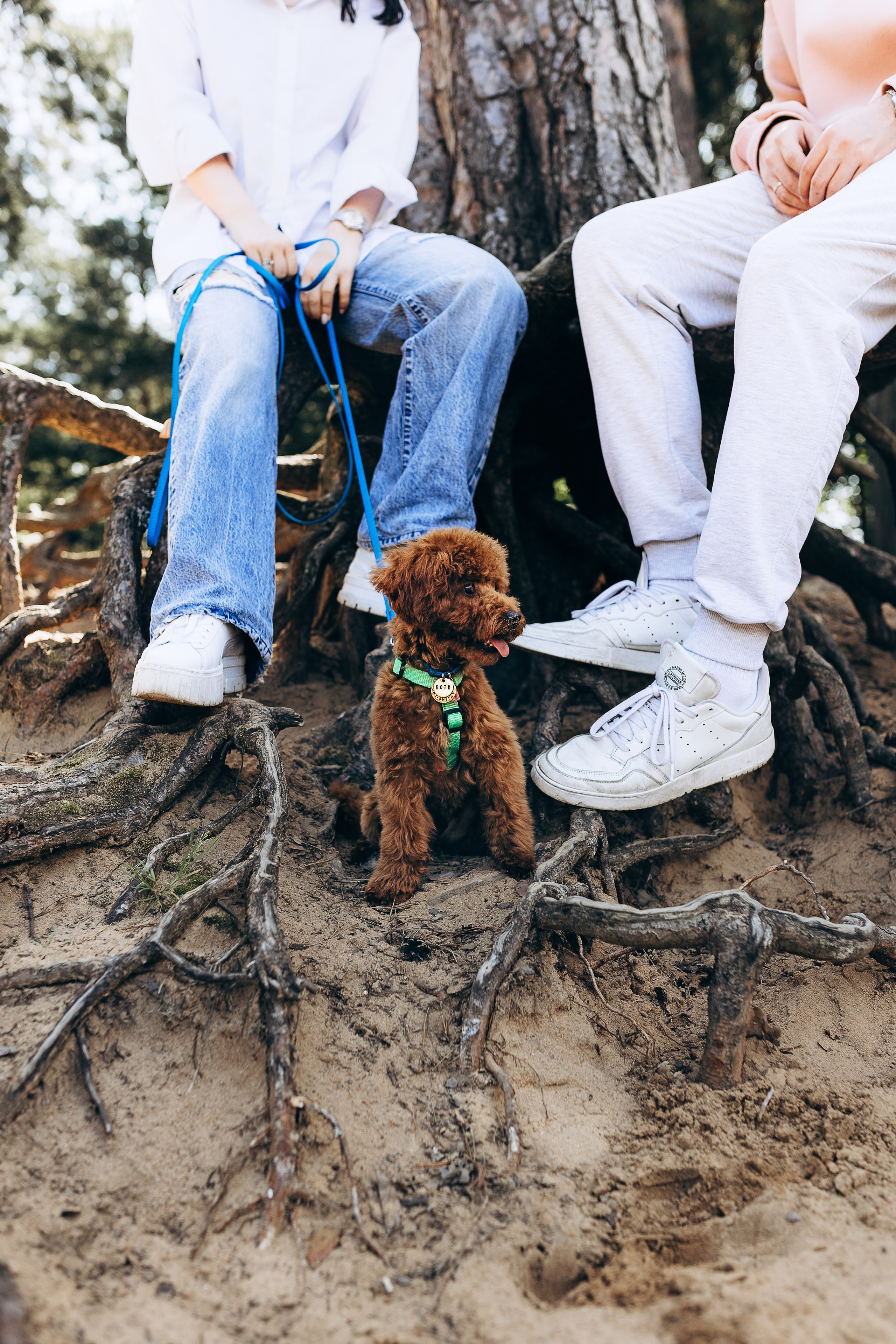 Семьи. Семейный и детский фотограф в Москве Валерия Нестерова