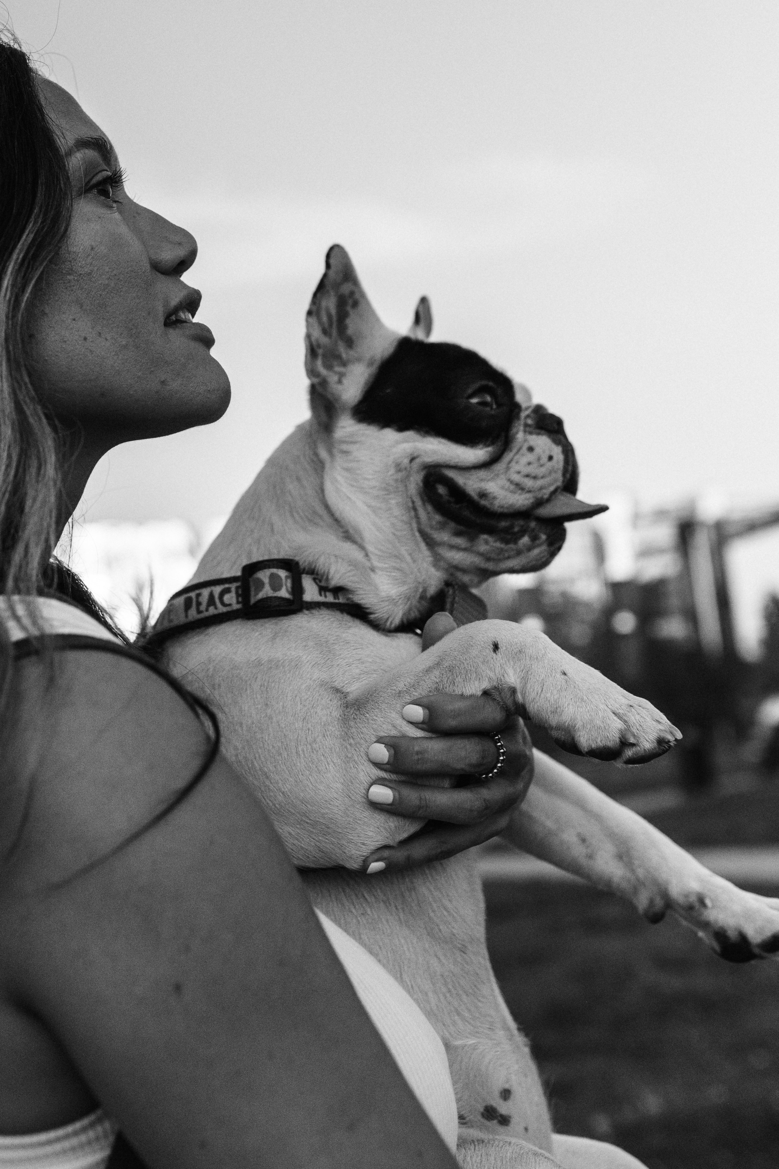 Инна и Белль. Фотограф анималист в Москве Ольга Агушева