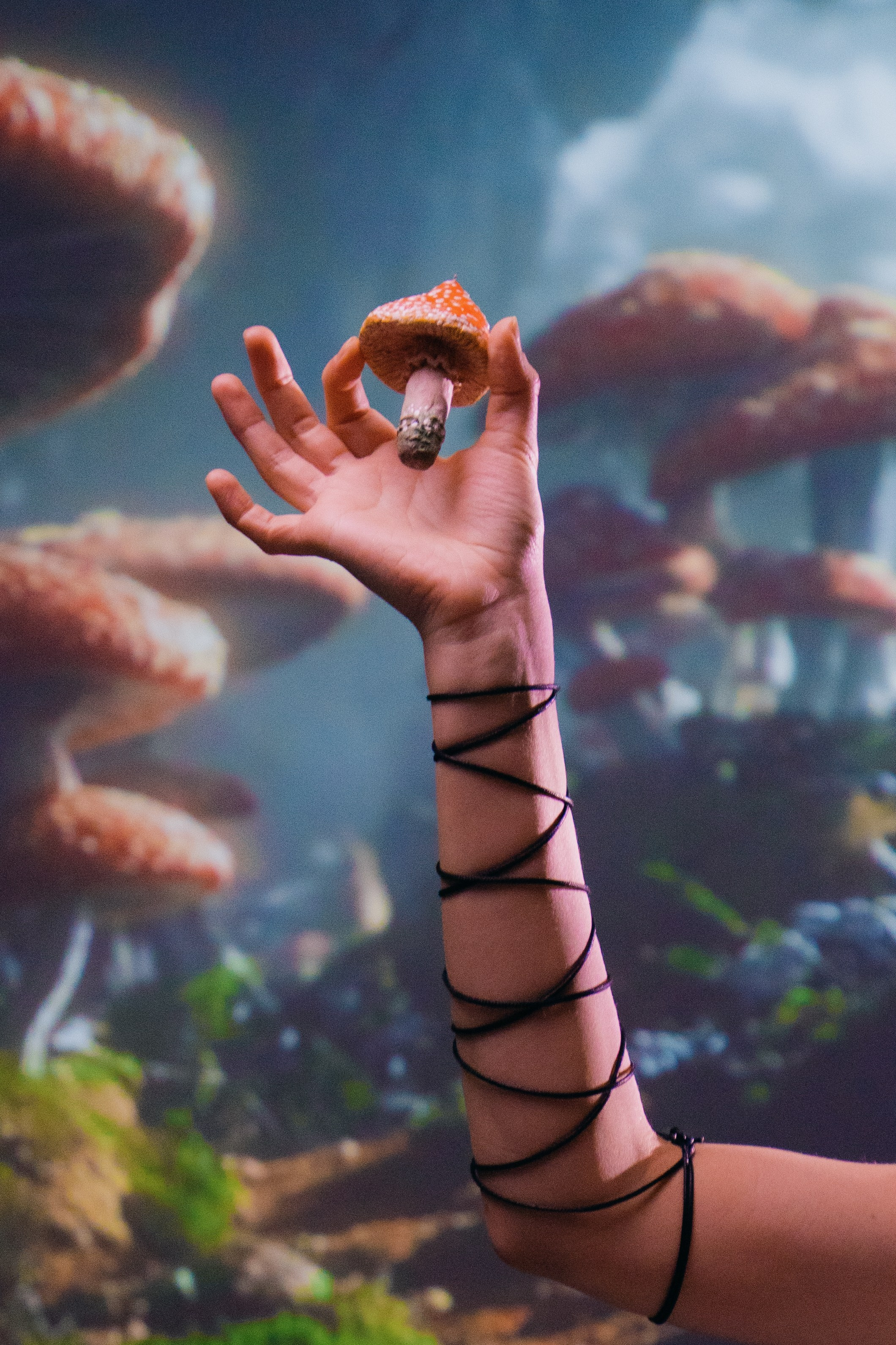 Алиса в стране чудес. Фотограф Алиса Аспер