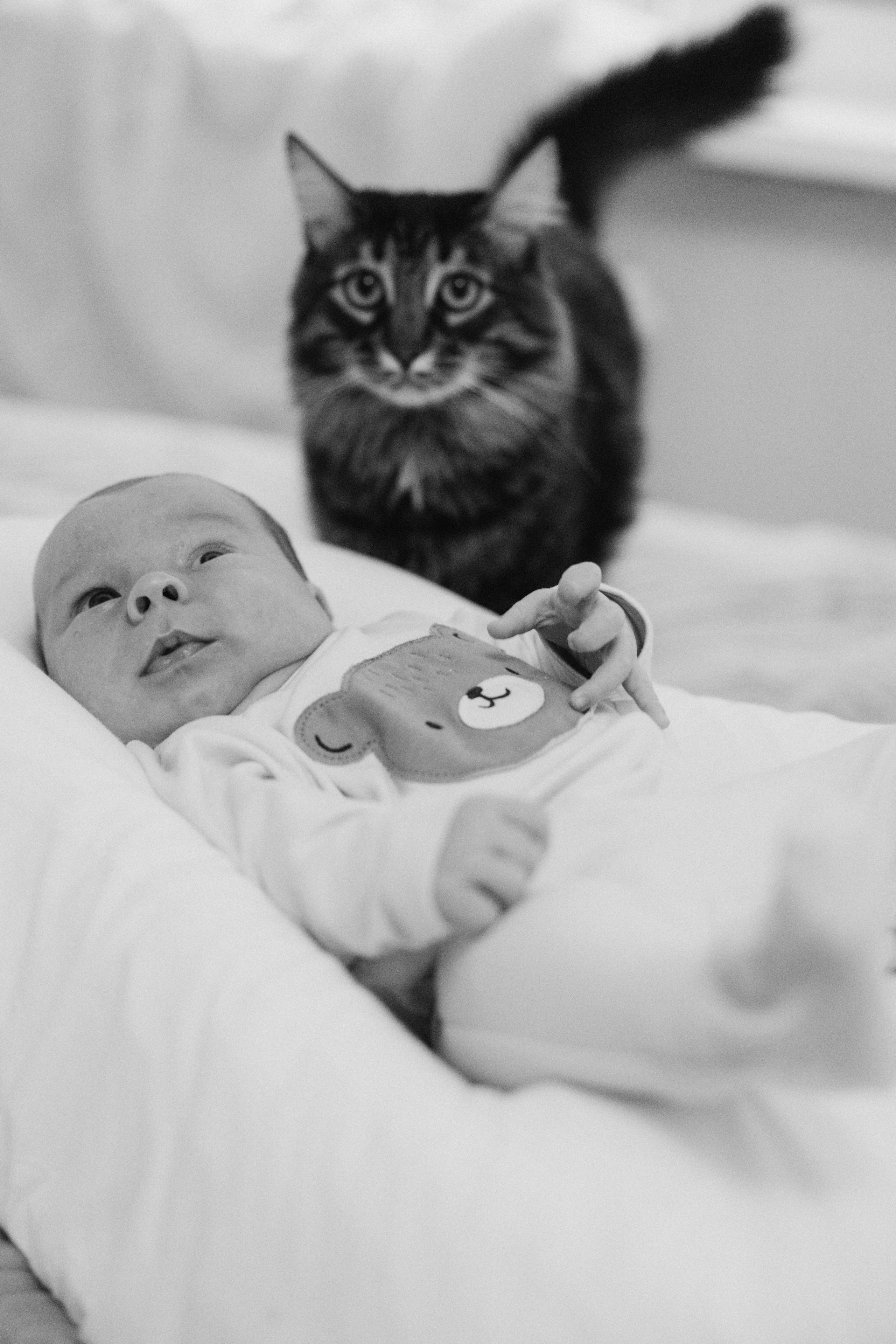 Домашняя съёмка