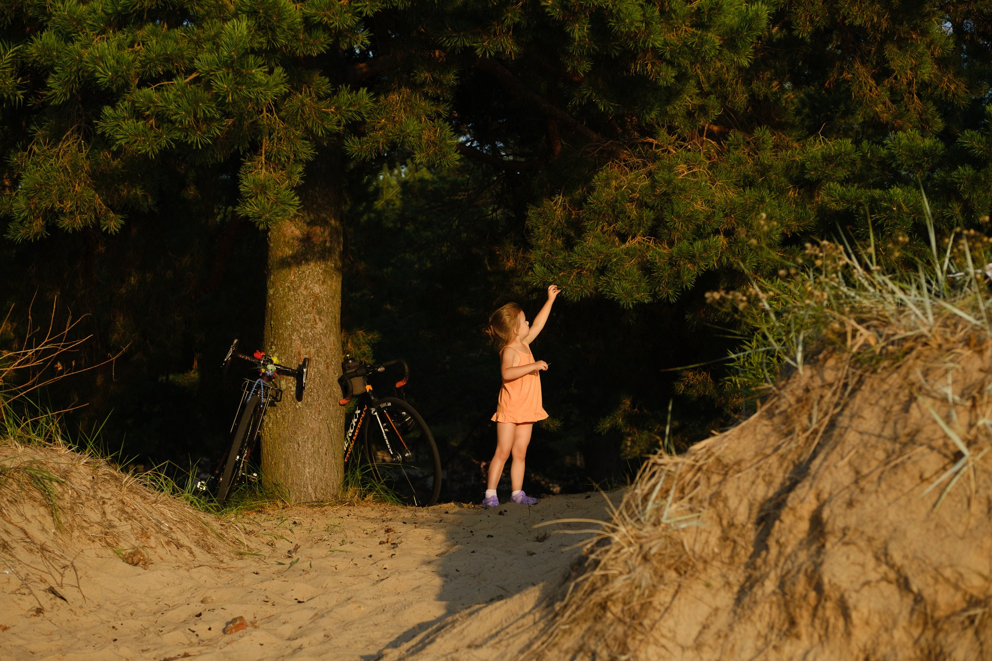 Фотосессии