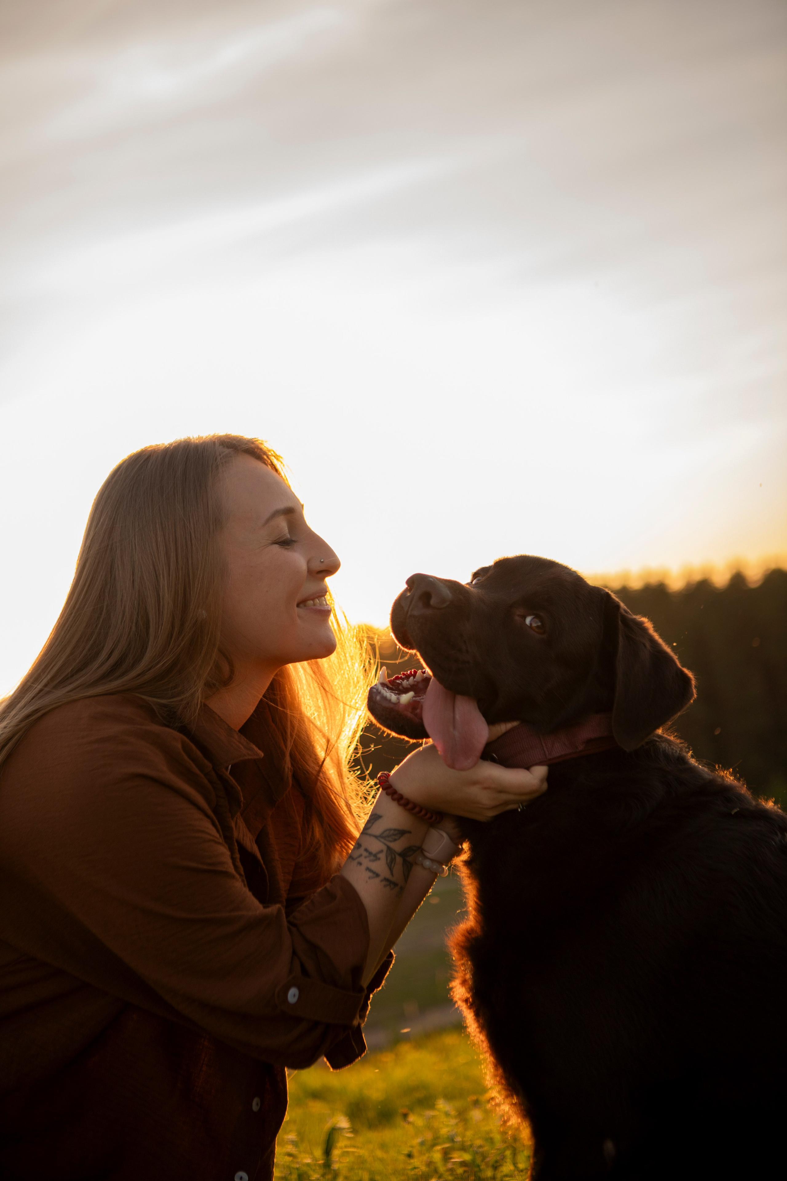 Закатная. Фотограф-анималист в Санкт-Петербурге Алина Яхонт