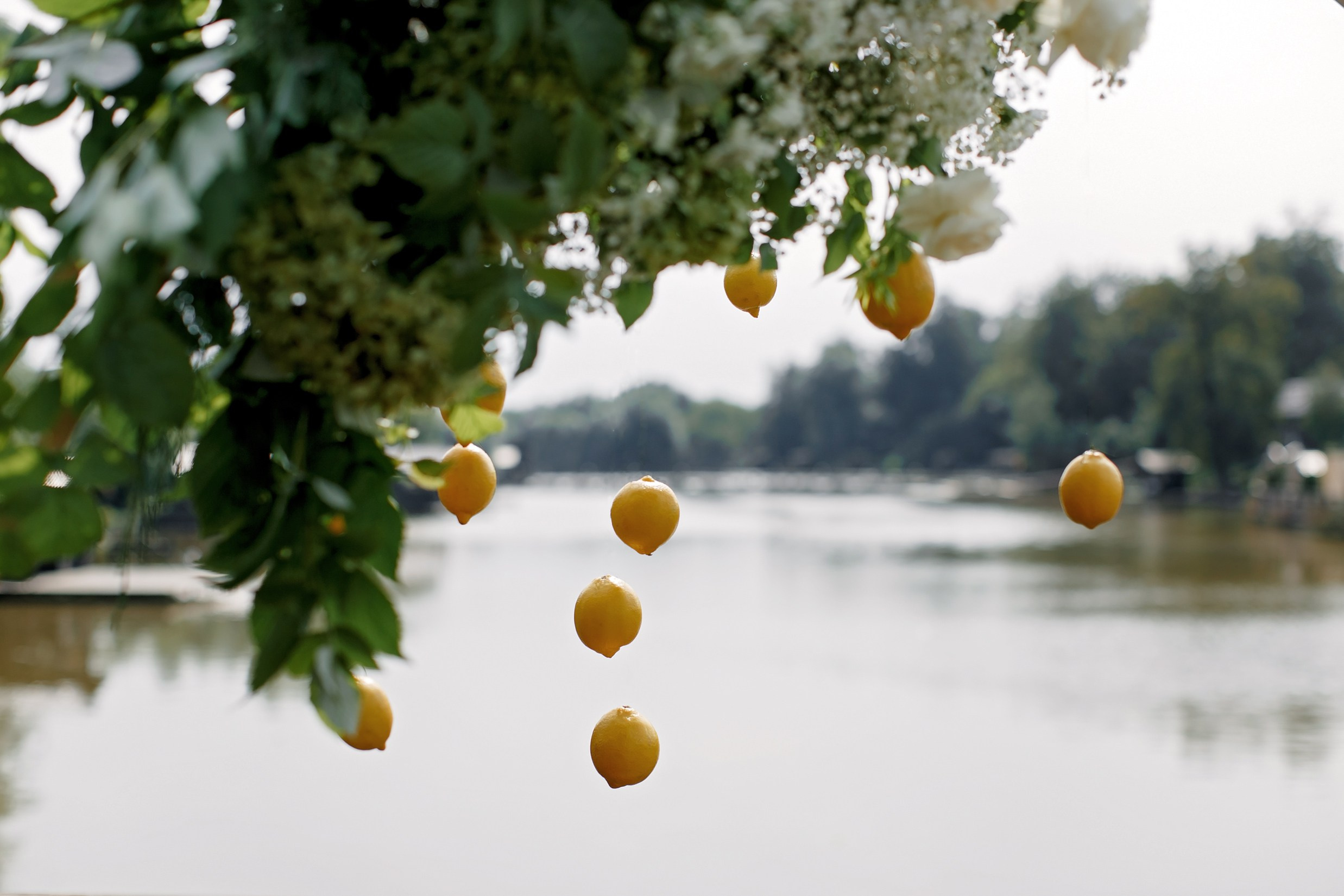 23 августа 2024. Свадебный организатор Москва