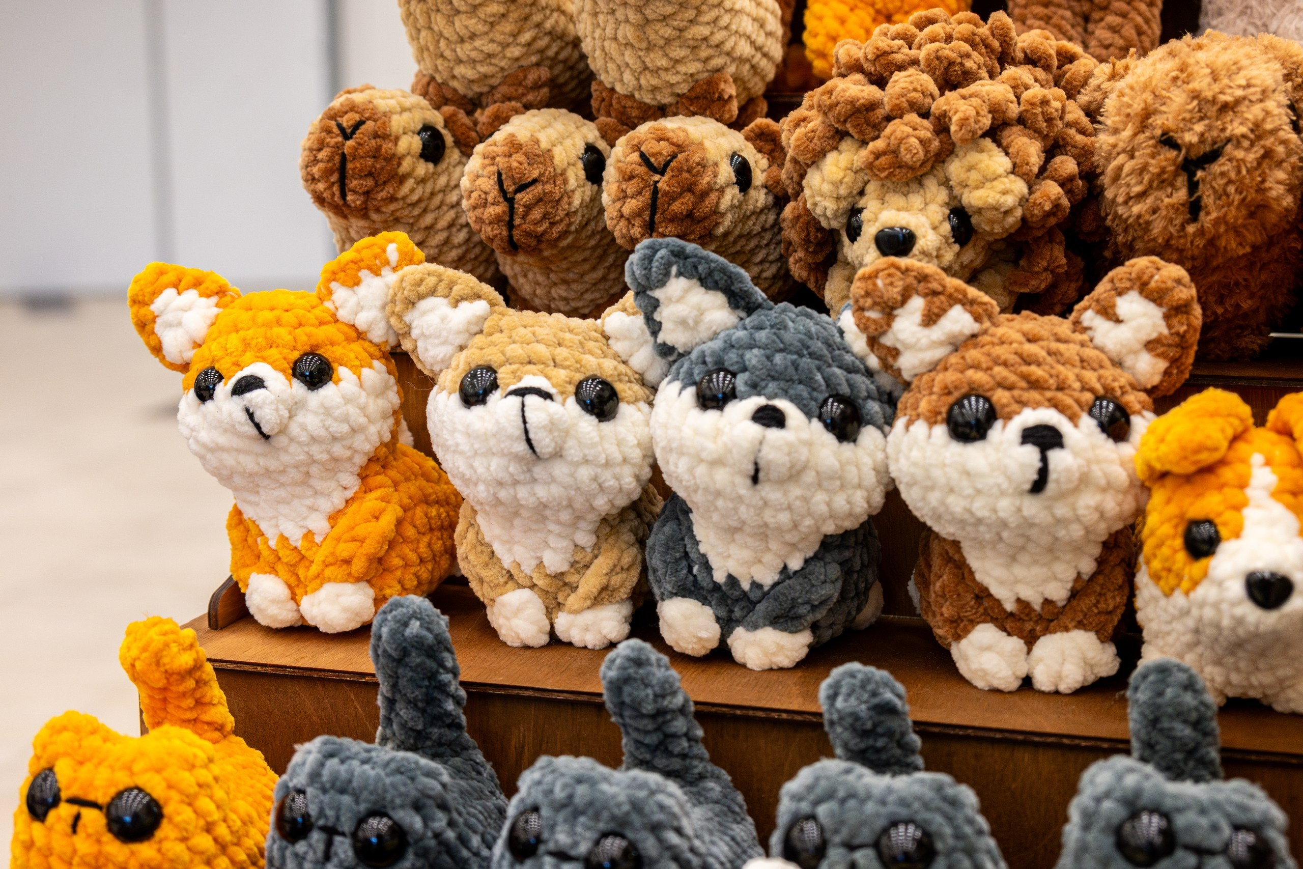 Благотворительная ярмарка «ЯрМУРка гав-версия». Репортажный и портретный фотограф во Владивостоке Денис Седов