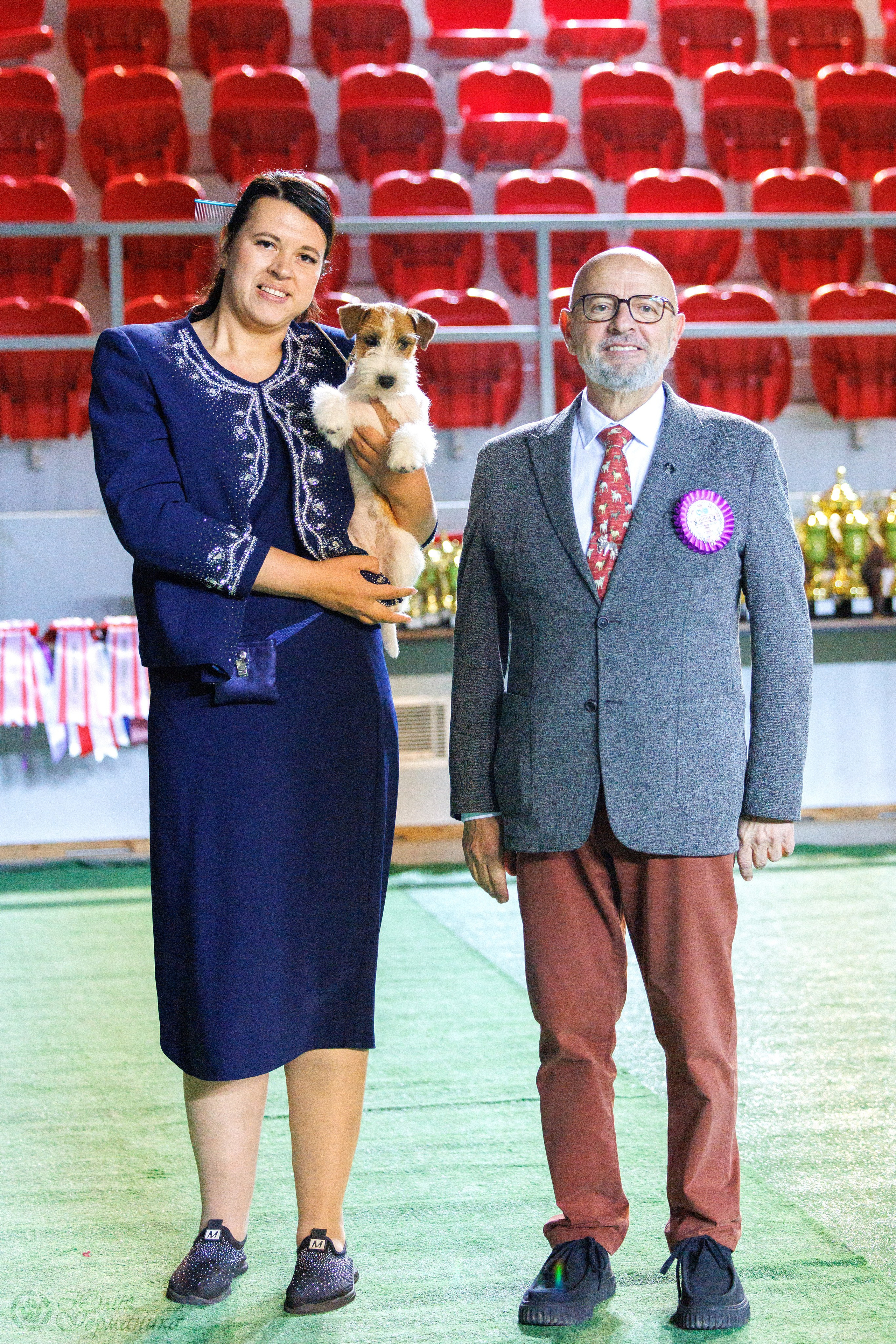 Грузия,Телави 2хCACIB 19-20.10.2024. Фотограф-анималист Юлия Германика