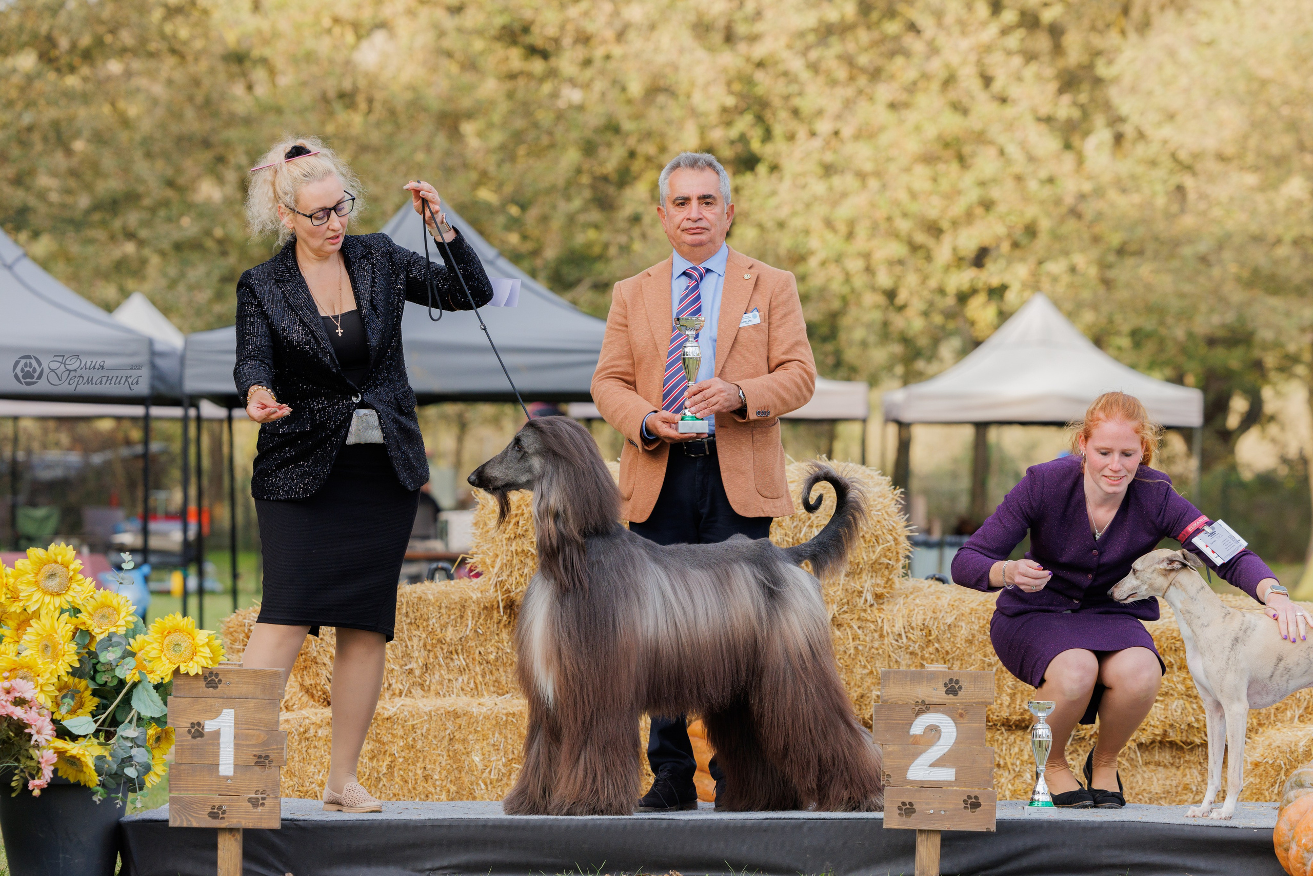 Туция,Стамбул 2хCACIB 26-27.10.24. Фотограф-анималист Юлия Германика