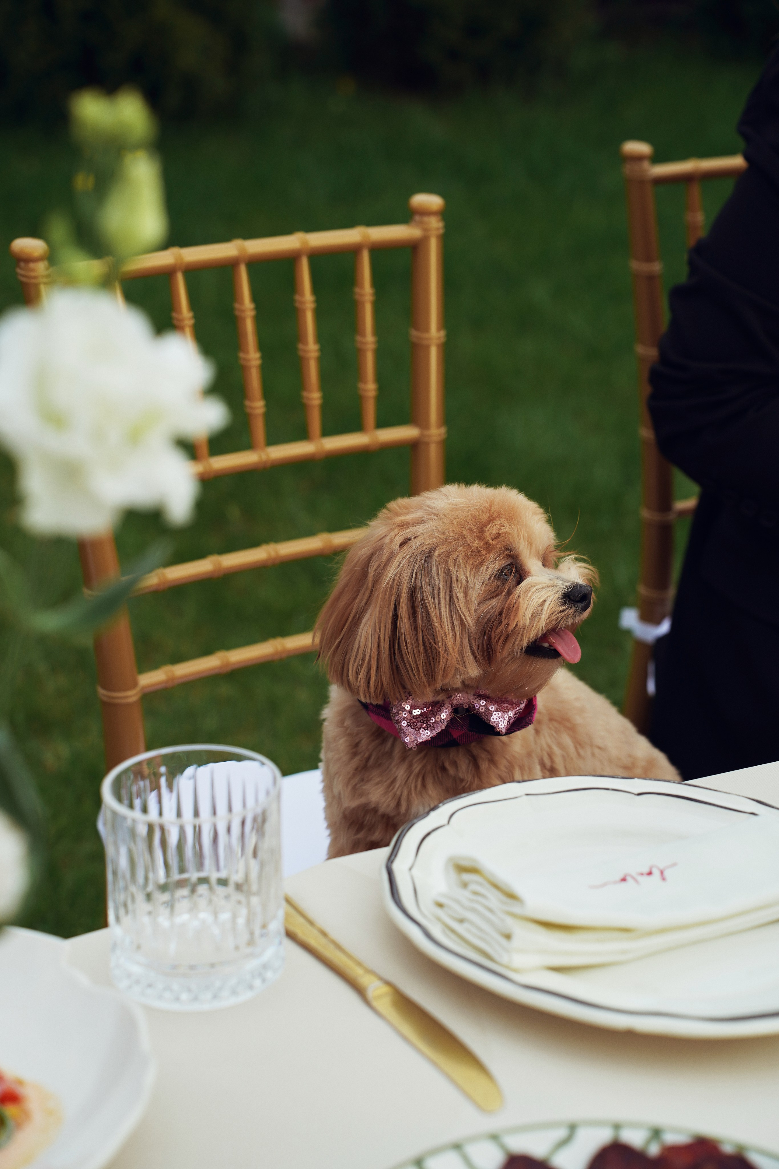 День Рождения Екатерина. Фотограф