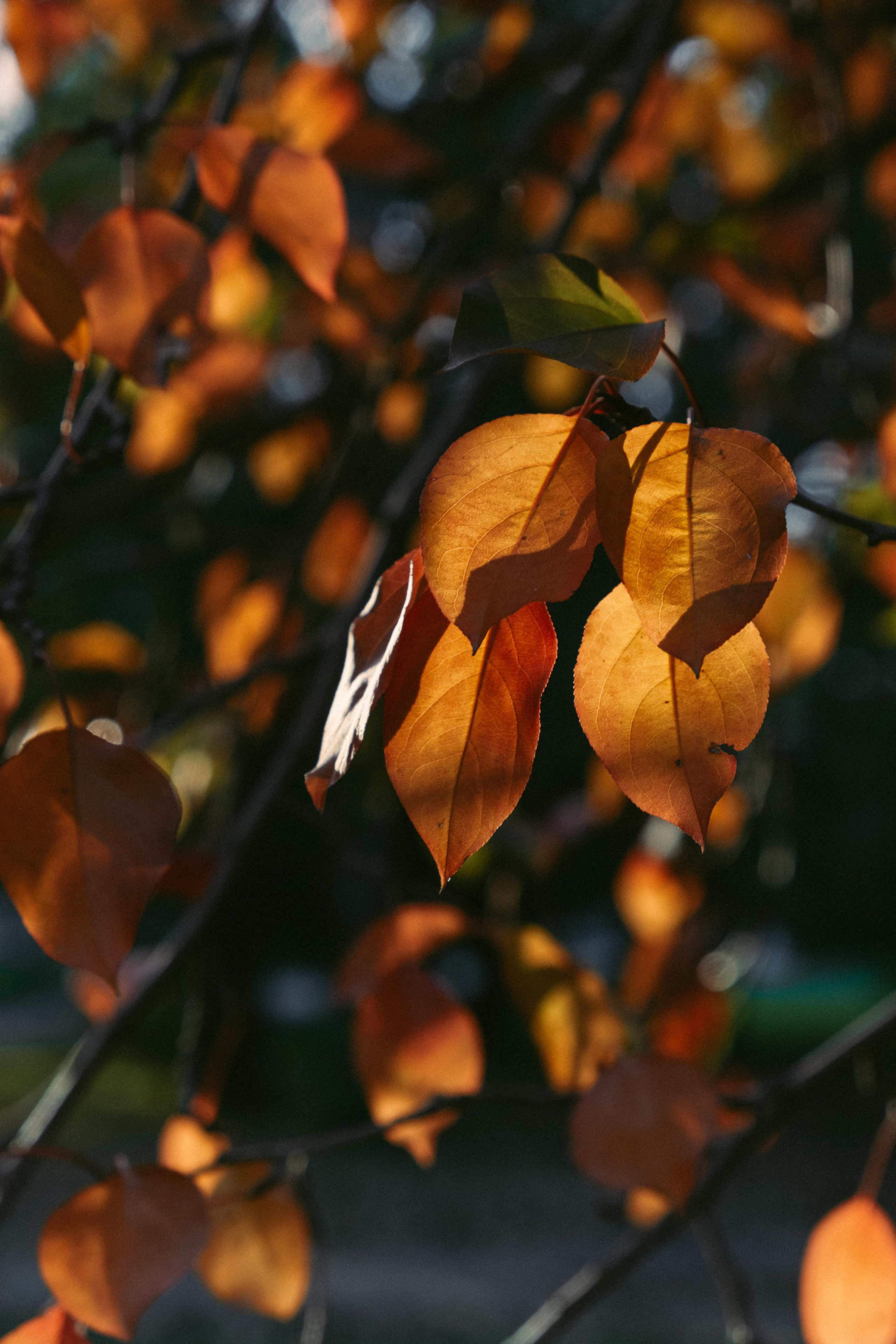 Замечательная повседневность. Контент-фотограф и видеограф в Перми