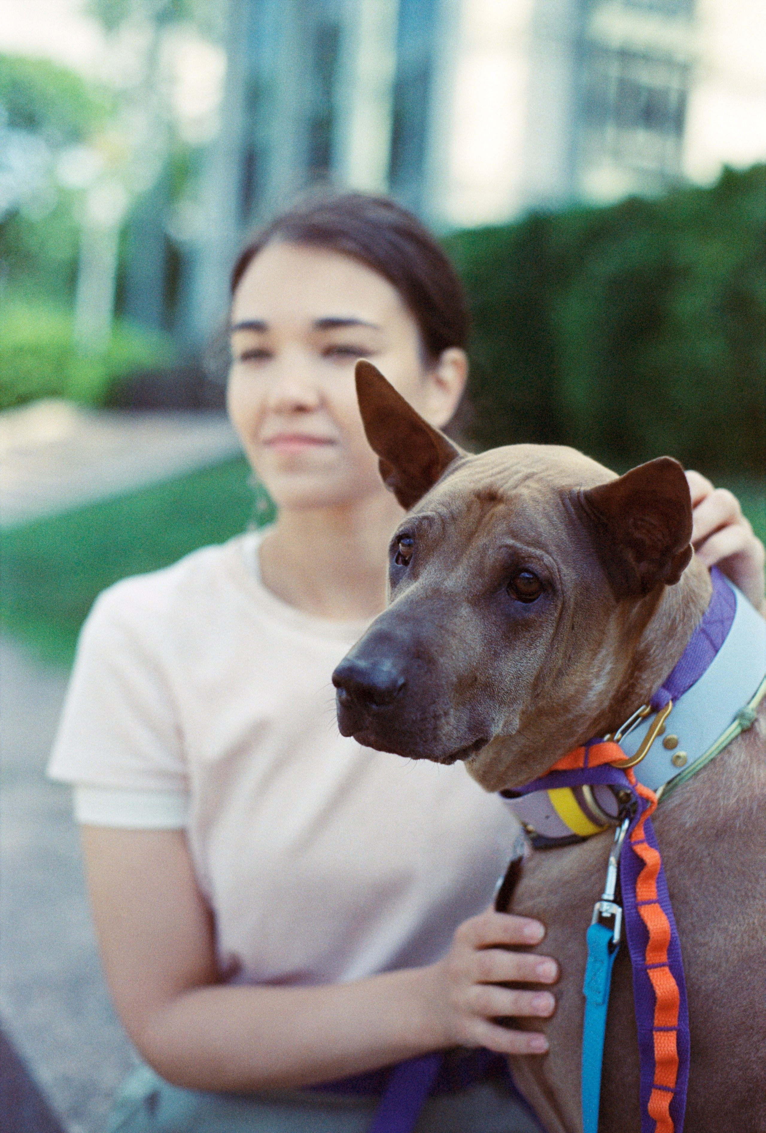 VOX. Стилист и плёночный фотограф Анастасия Шлокова в Санкт-Петербурге и Москве