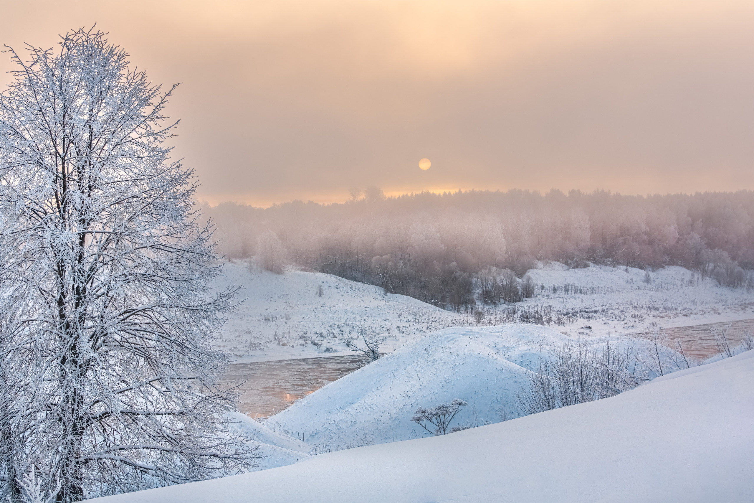 Nature of the Staritsa. Winter. Site of landscape photographer Pavel Krainikov